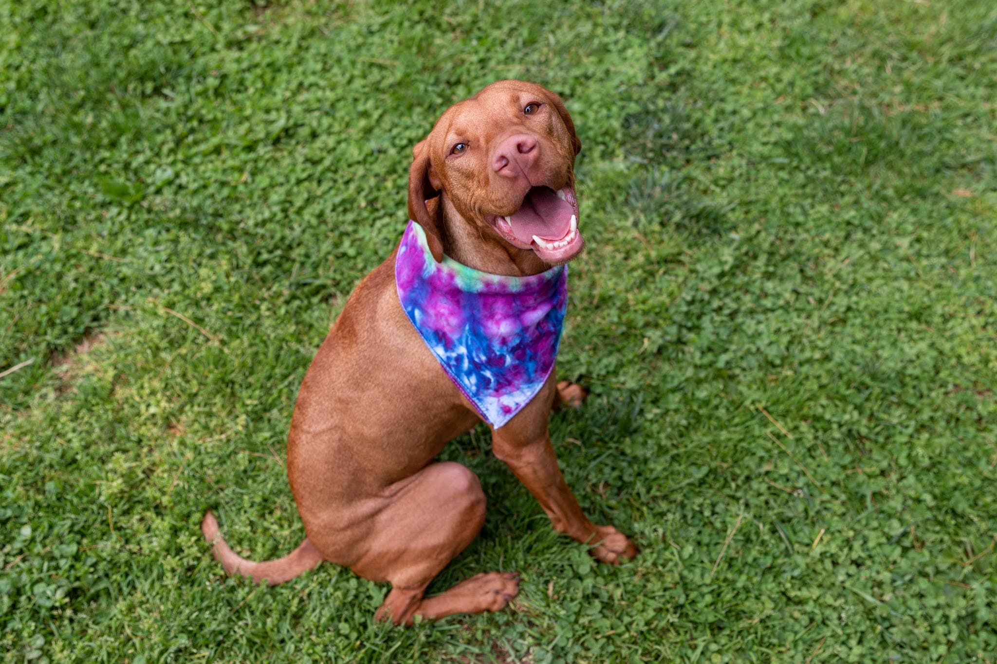 Tiki's Playhouse - Glenelg, MD