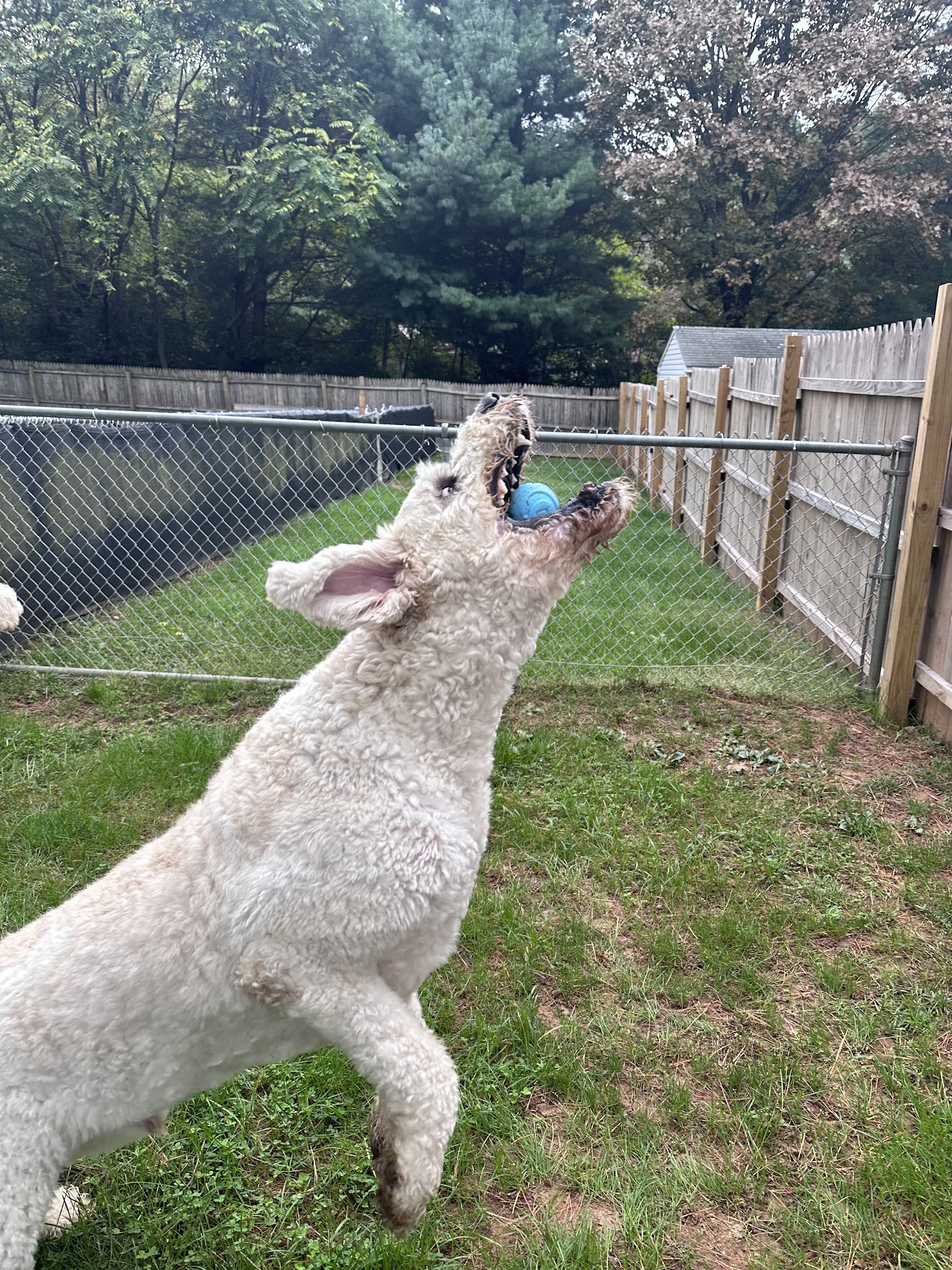 Tiki's Playhouse - Glenelg, MD