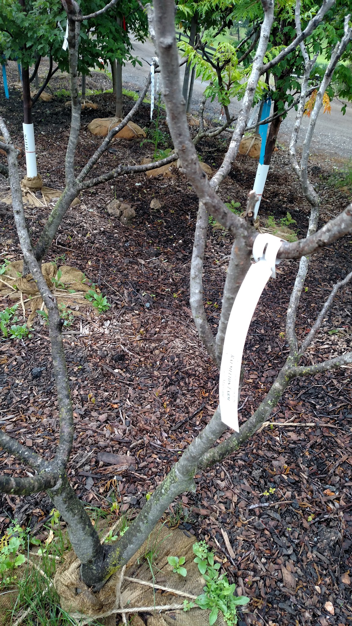 Glenwood Office Park - Glenwood, MD