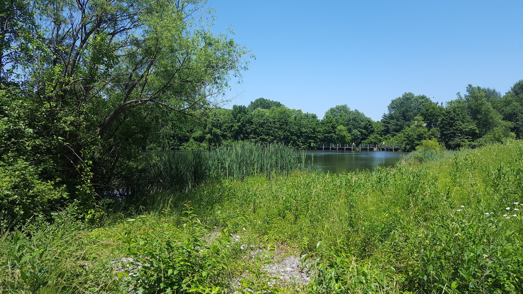 Warfields Pond Park Parking Lot - Glenwood, MD