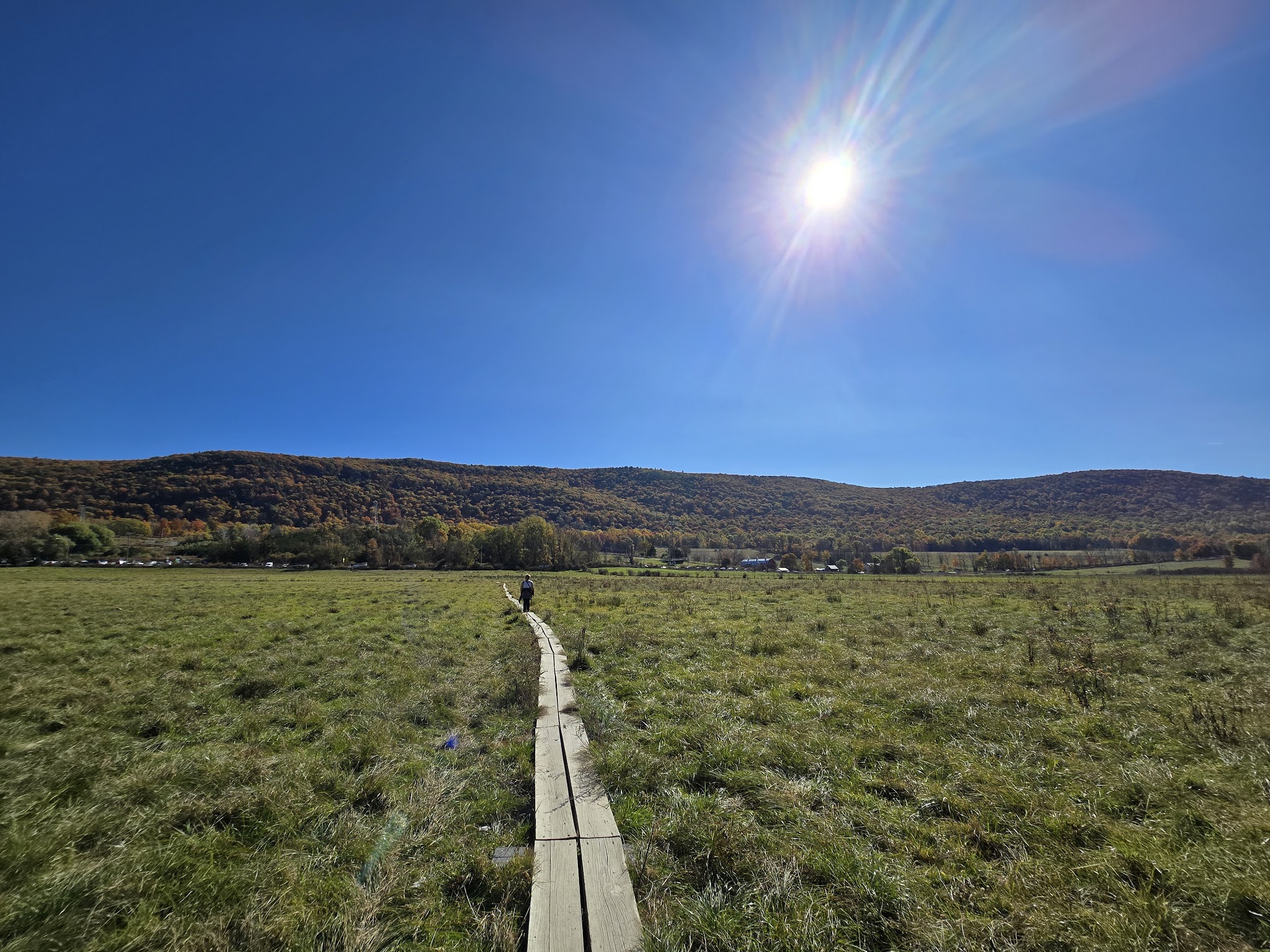 Pochuck Boardwalk Suspension Bridge - Glenwood, NJ