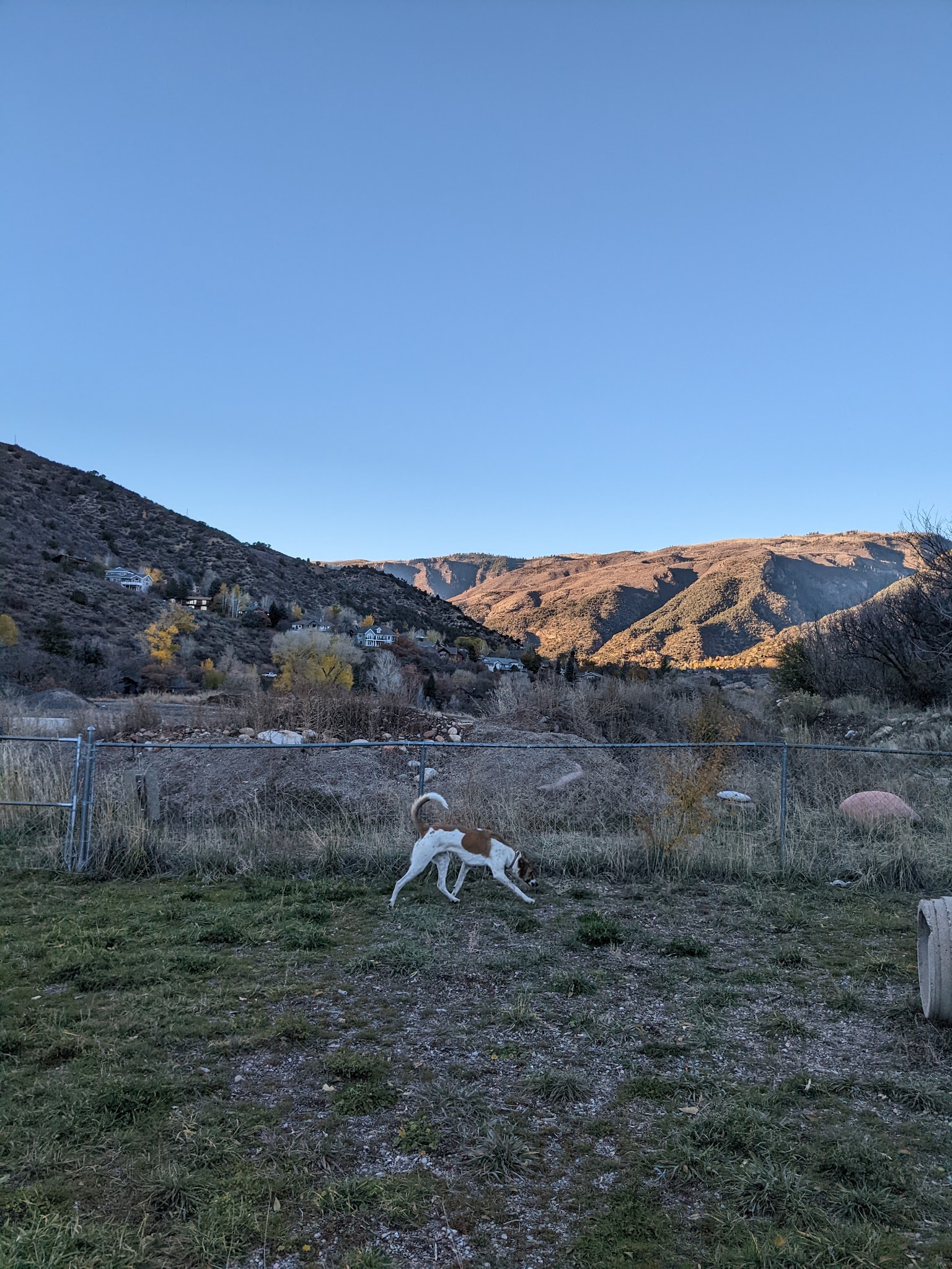 O'Leary & Rivertrail Dog Park - Glenwood Springs, CO