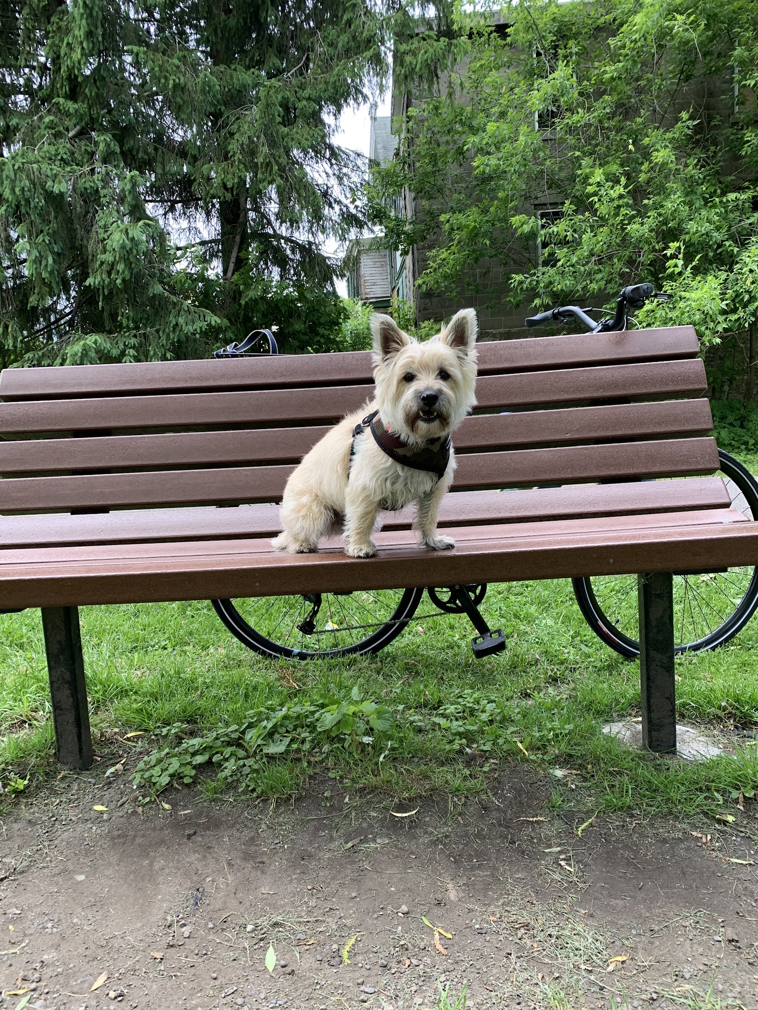 Fonda Johnstown Gloversville Rail Trail Parking - Gloversville, NY