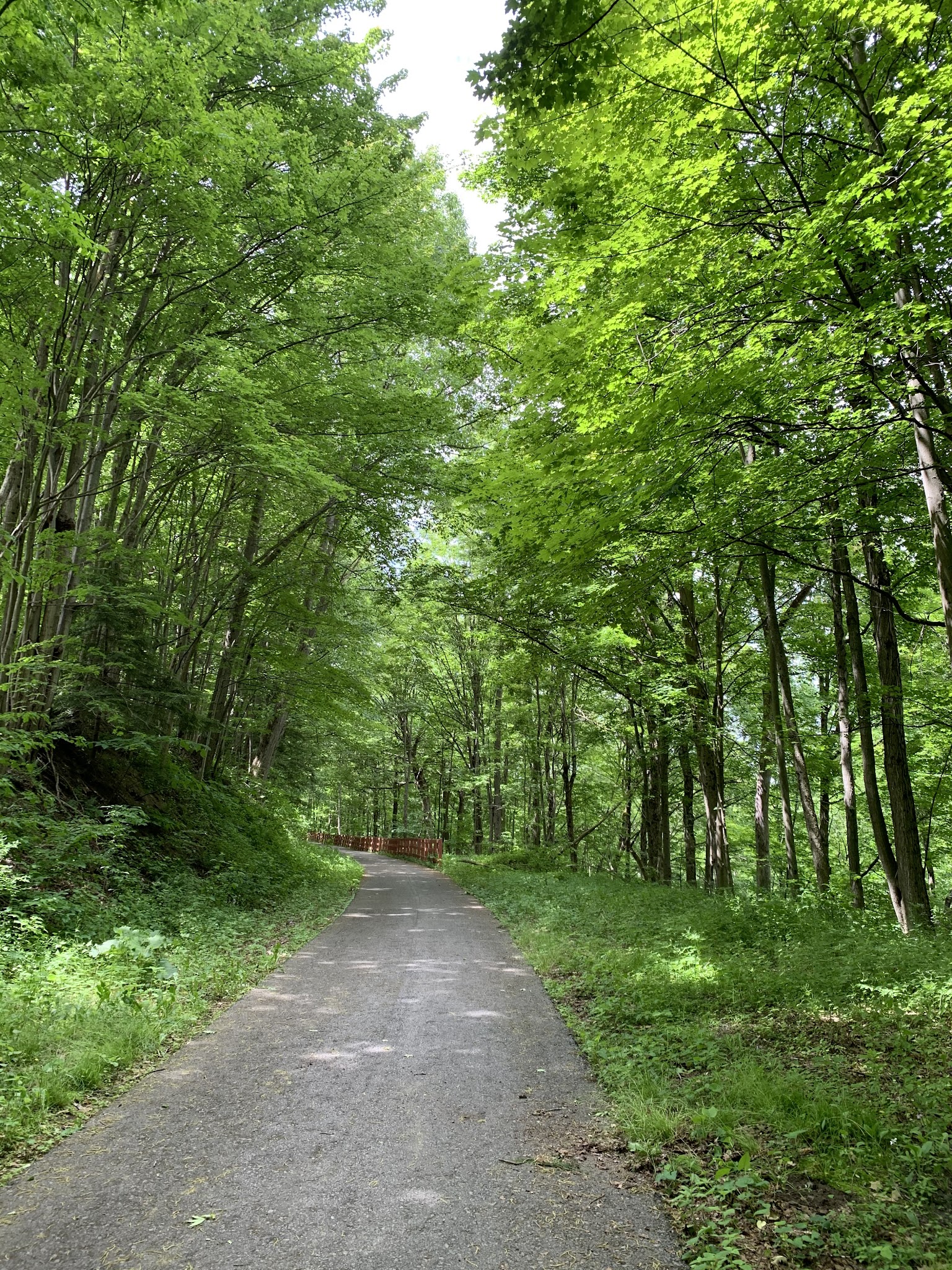 Fonda Johnstown Gloversville Rail Trail Parking - Gloversville, NY