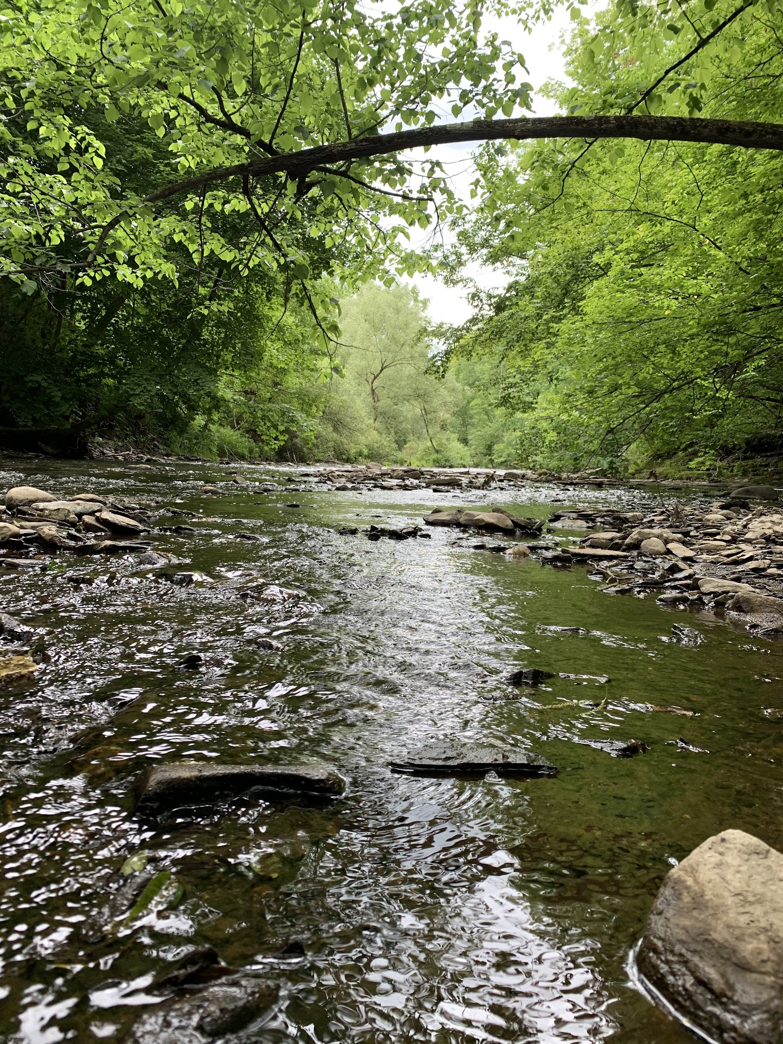 Fonda Johnstown Gloversville Rail Trail Parking - Gloversville, NY