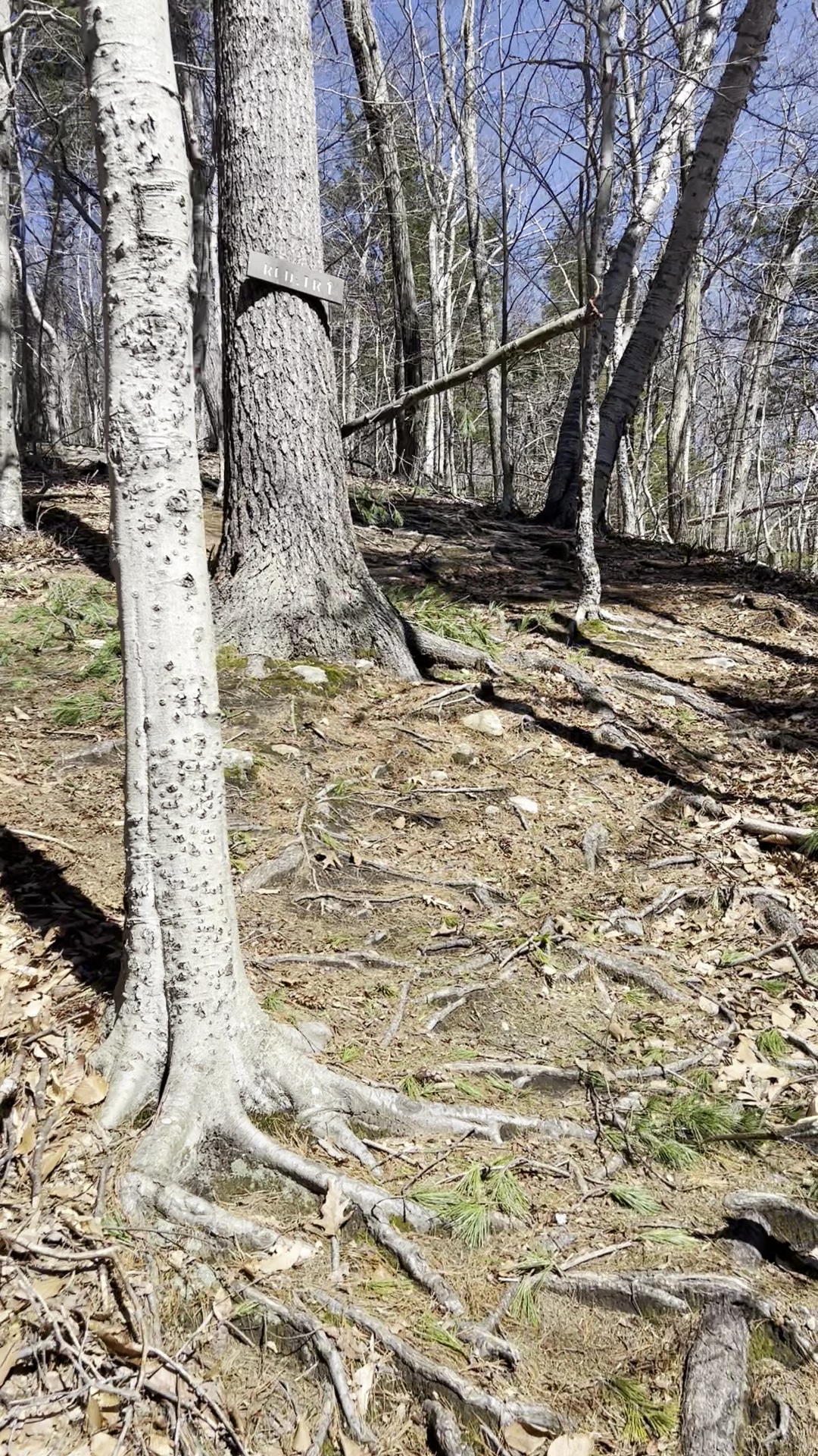 Uncanoonuc Trails Parking - Goffstown, NH
