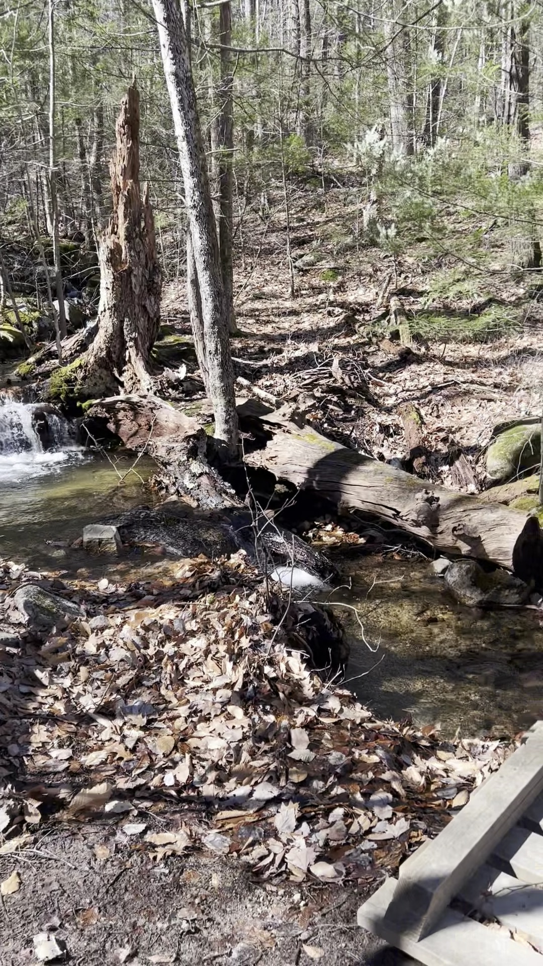 Uncanoonuc Trails Parking - Goffstown, NH