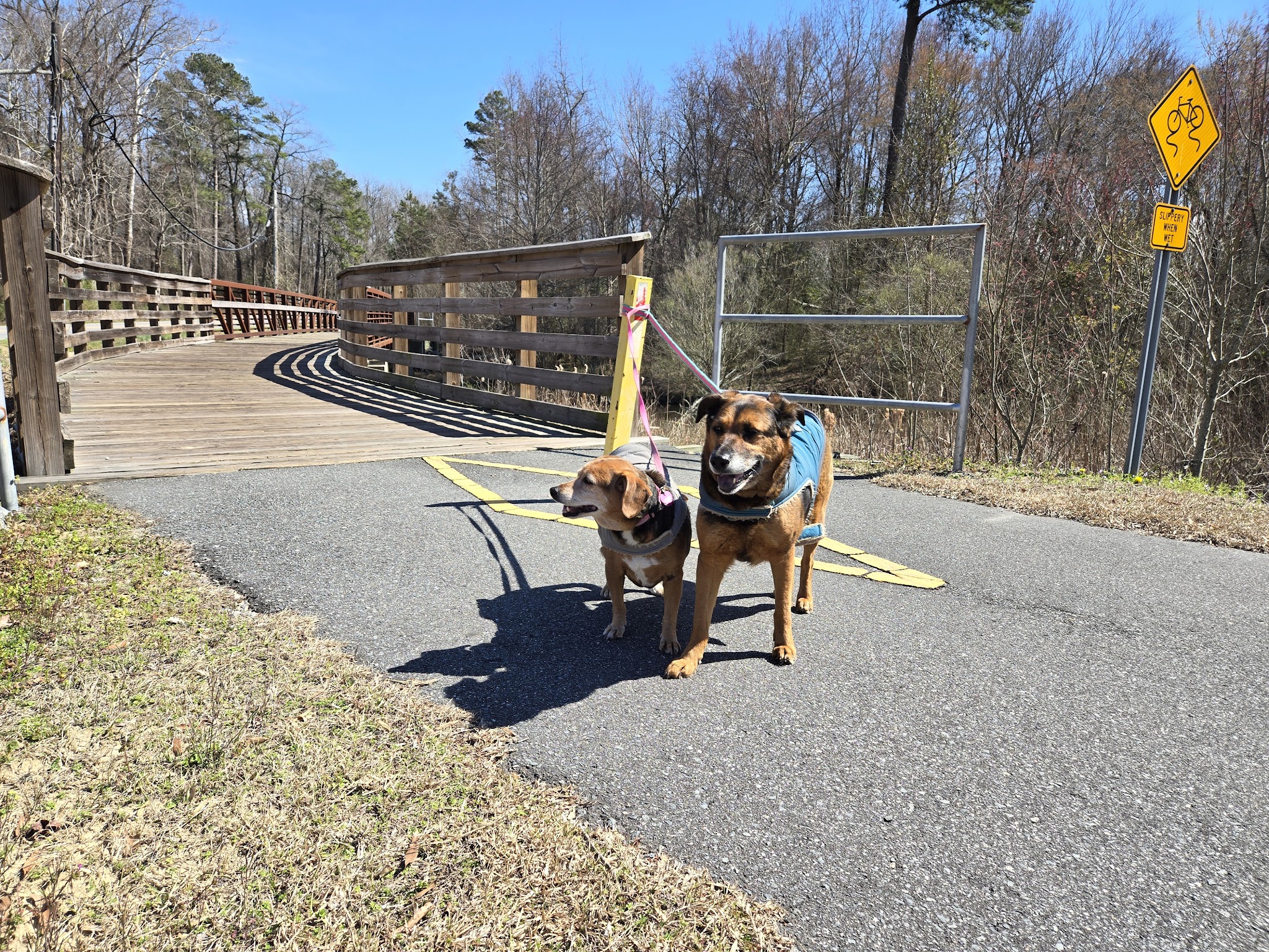 Reedy Branch Trail - Goldsboro, NC