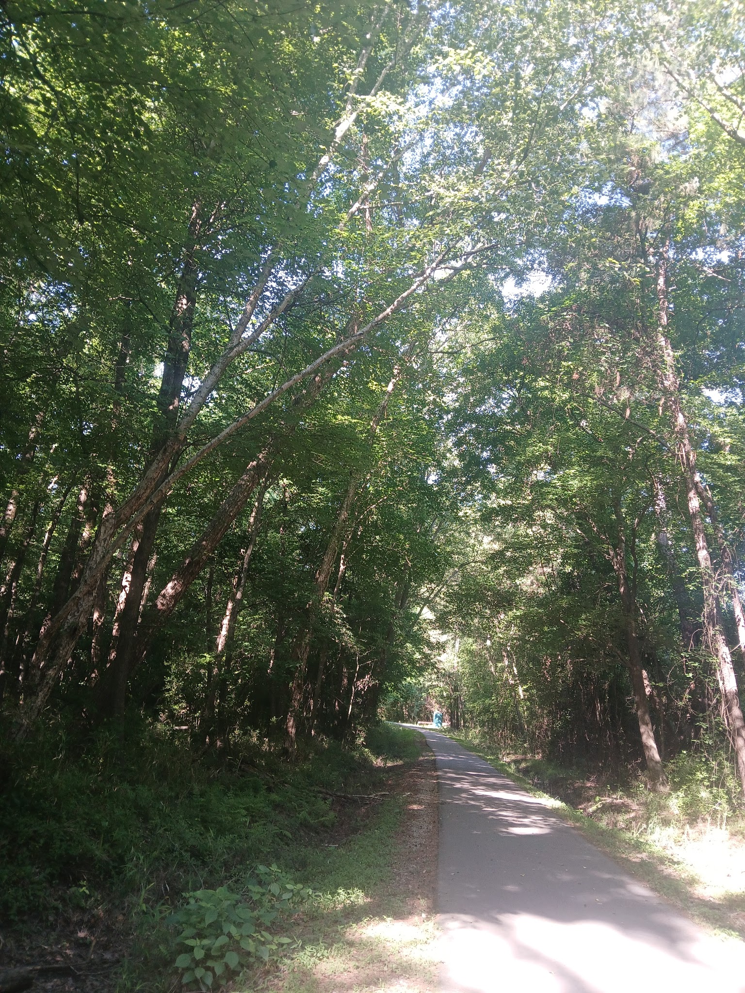 Reedy Branch Trail - Goldsboro, NC