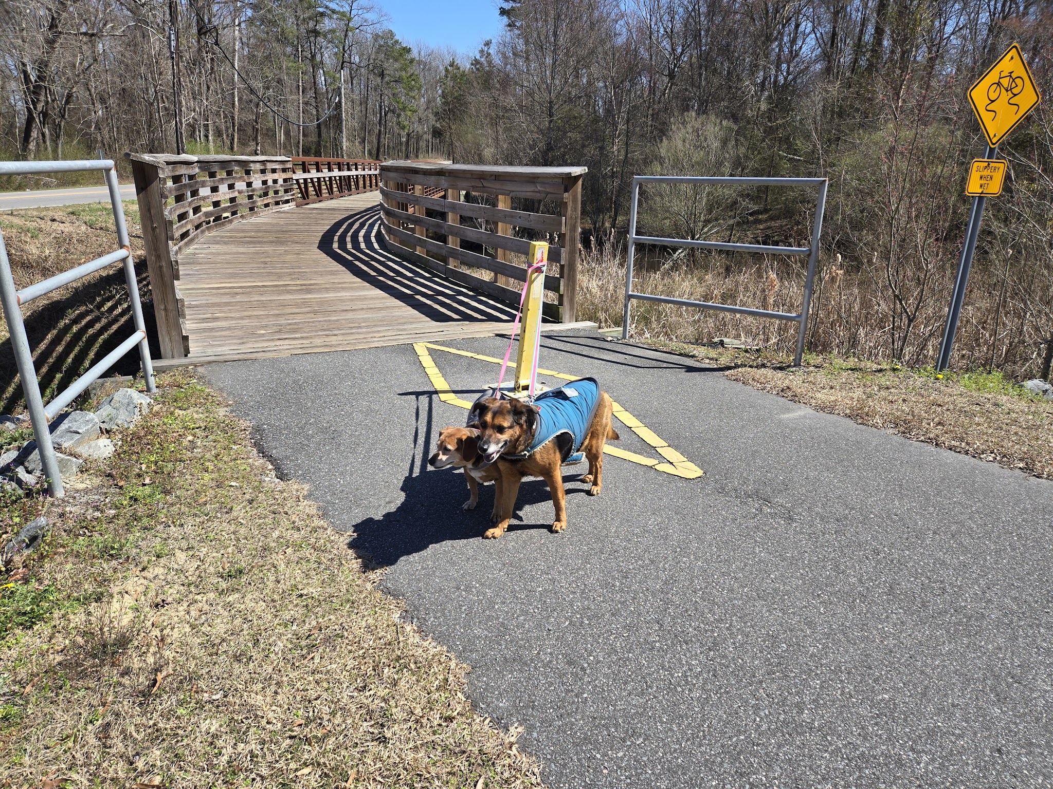 Reedy Branch Trail - Goldsboro, NC