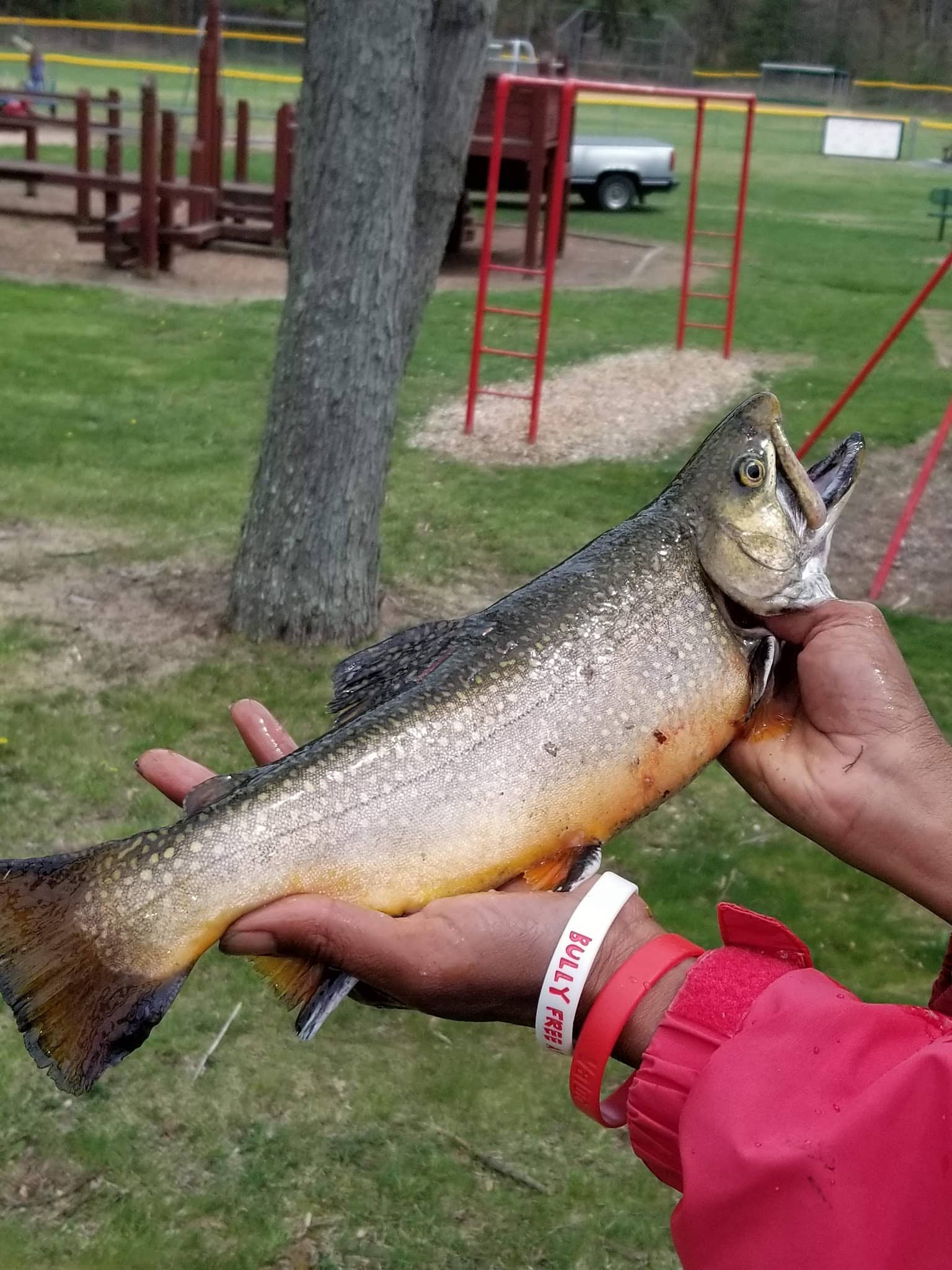 Gordon Park - Gordon, PA