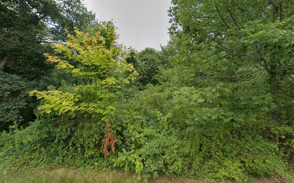 Great Meadow Conservation Area - Grafton, MA