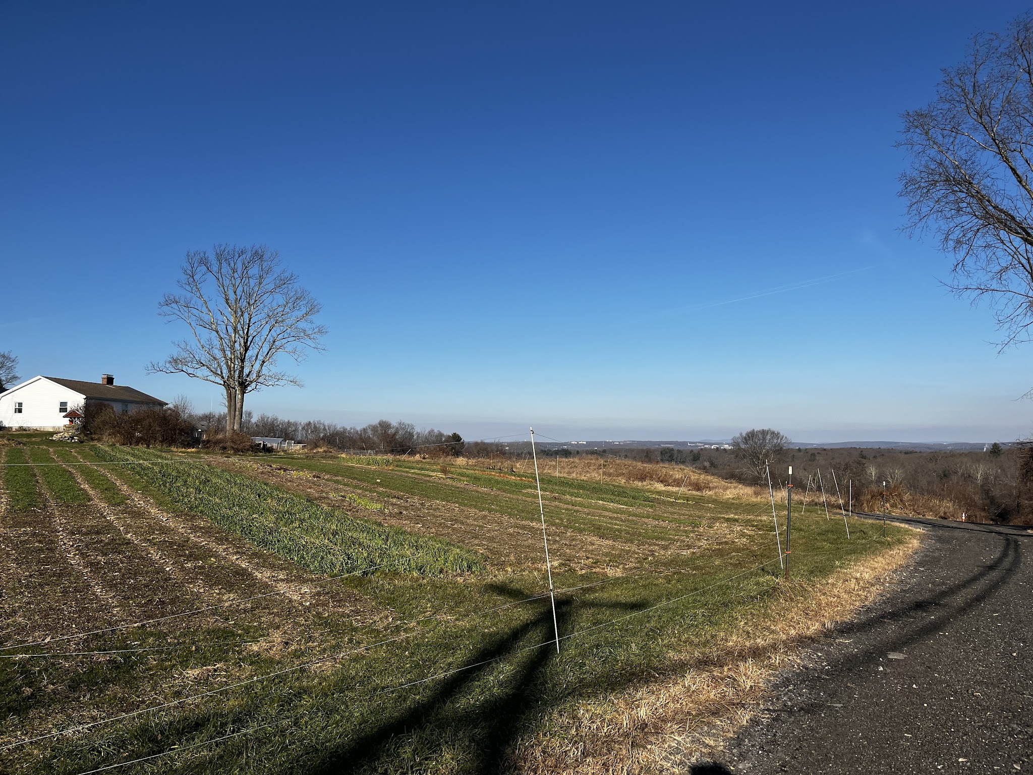 Potter Hill Meadows - Grafton, MA