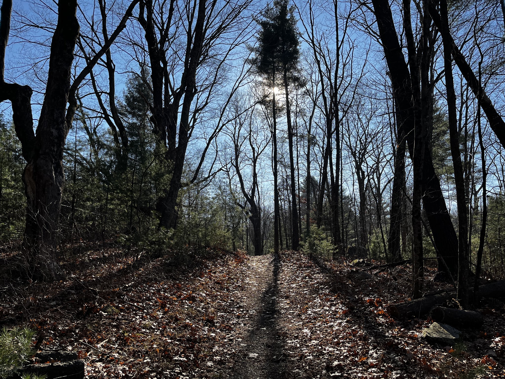 Potter Hill Meadows - Grafton, MA