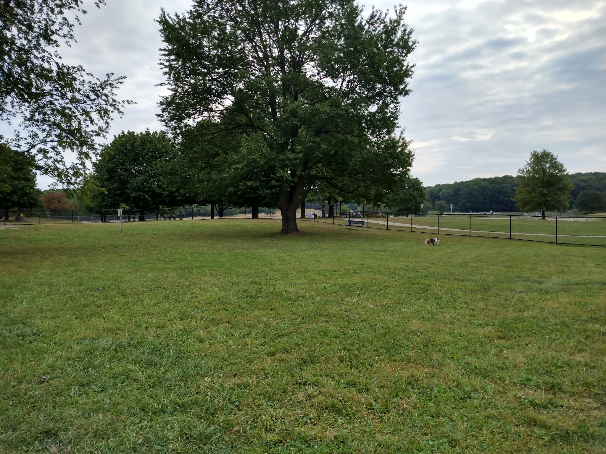 Cascade Dog Park - Grand Rapids, MI