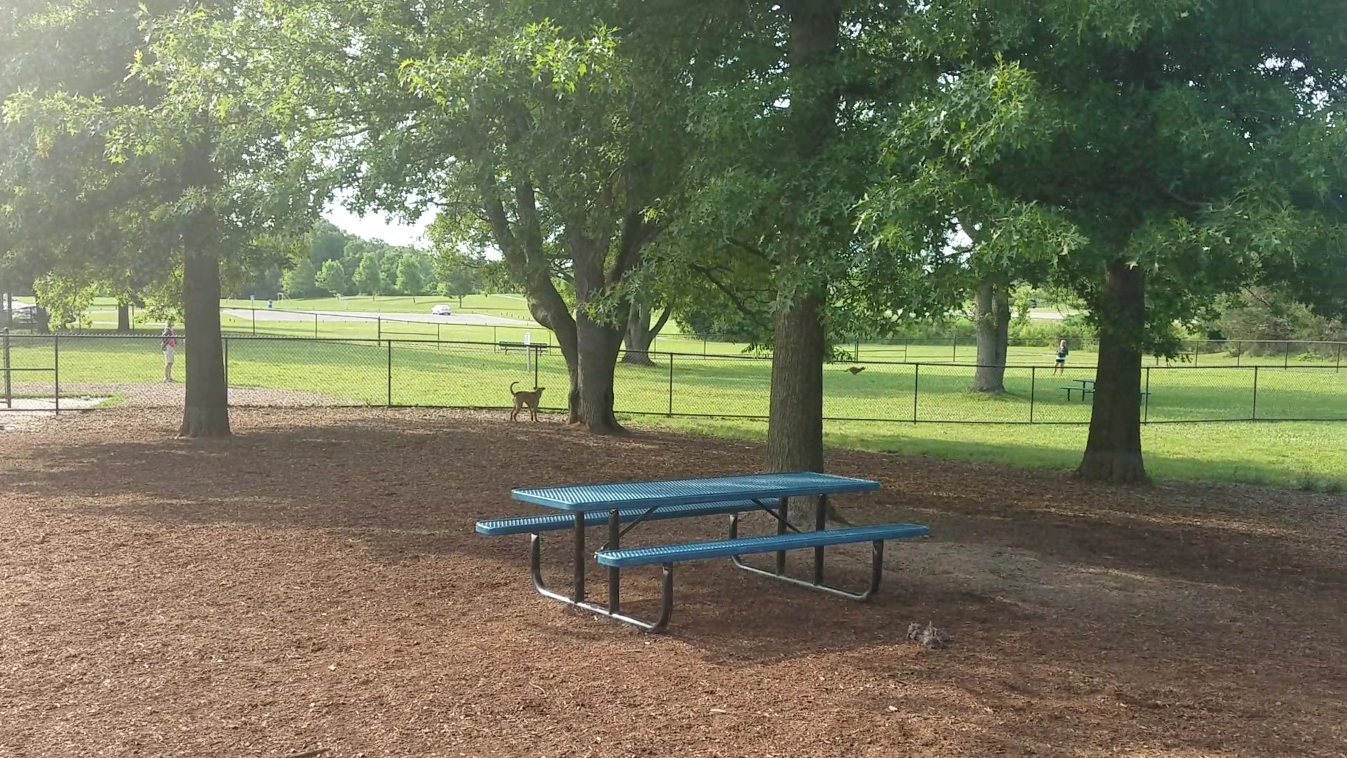 Cascade Dog Park - Grand Rapids, MI