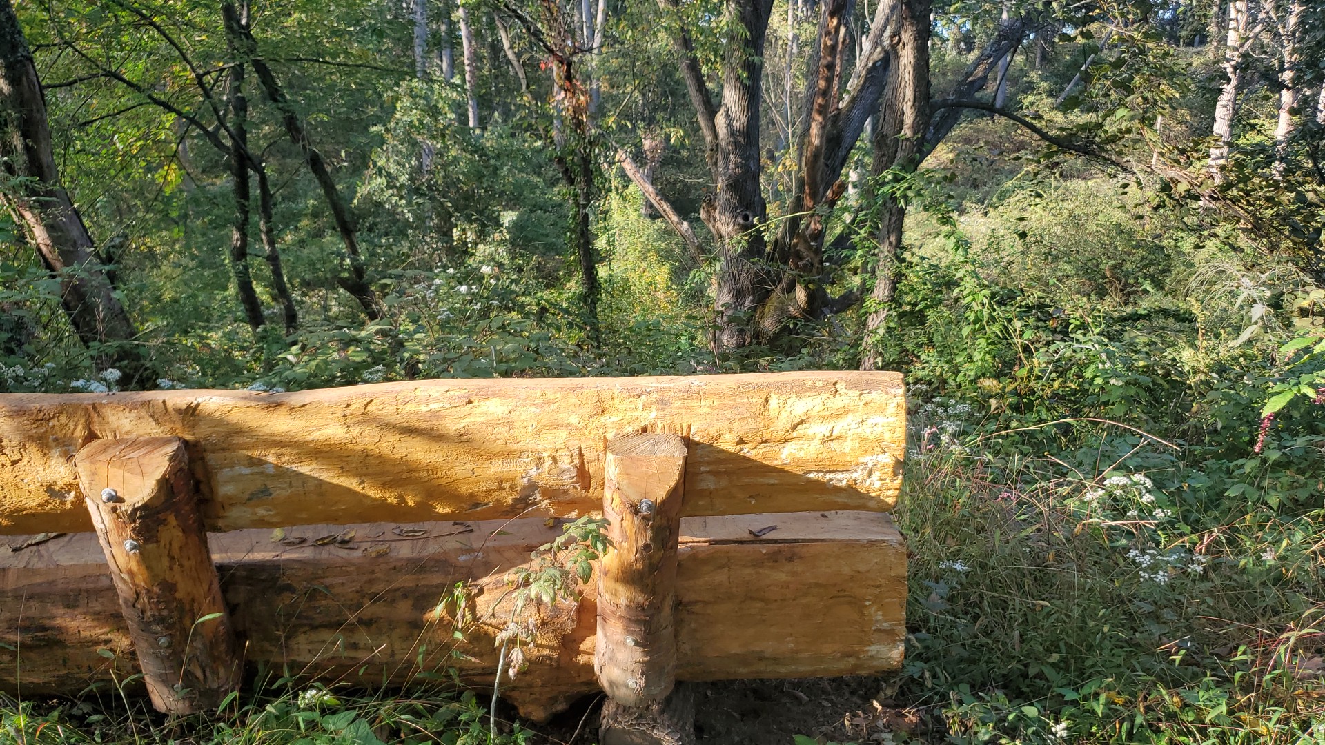 East Hanover Township Nature Park - Grantville, PA