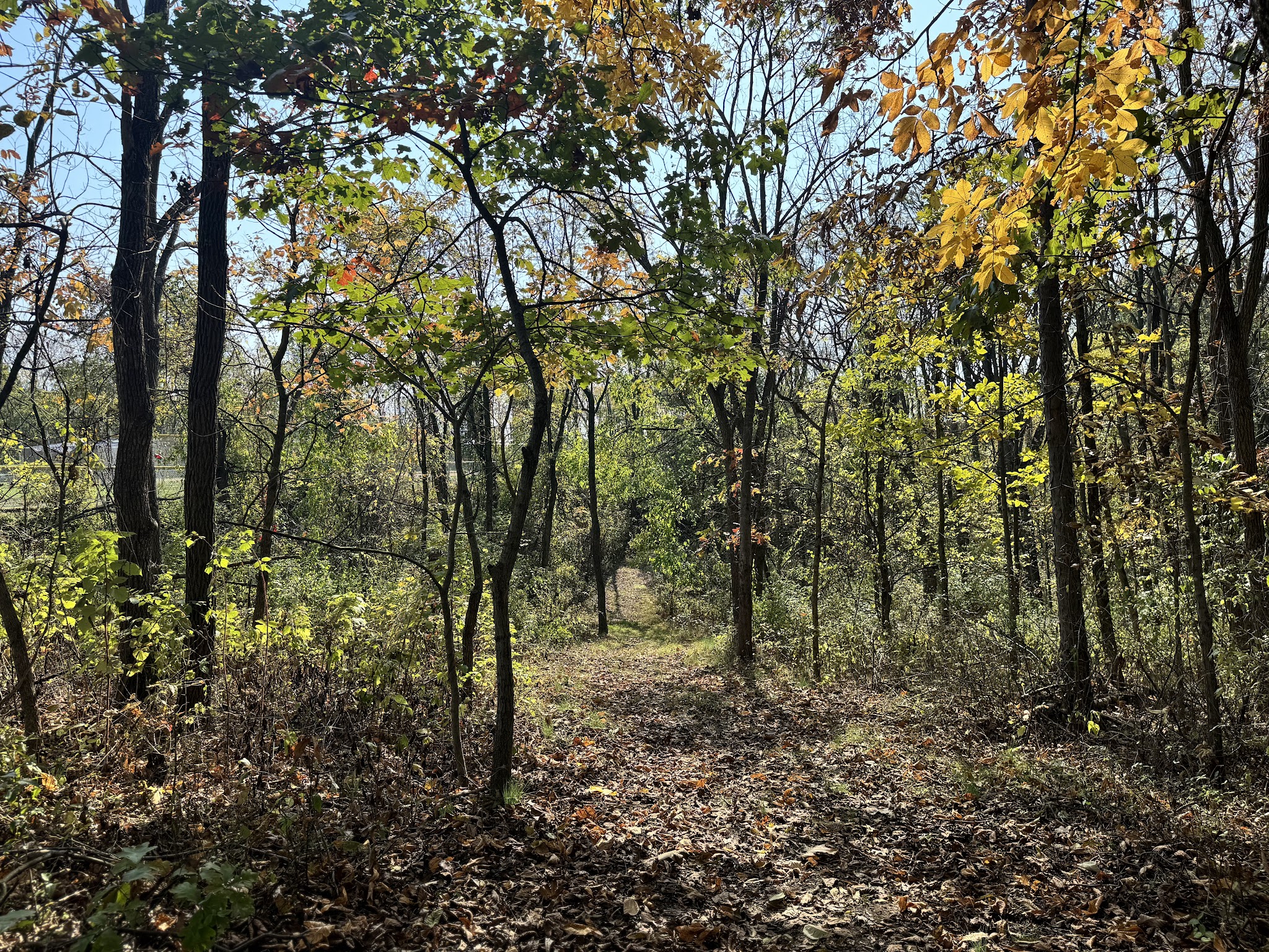 East Hanover Township Nature Park - Grantville, PA