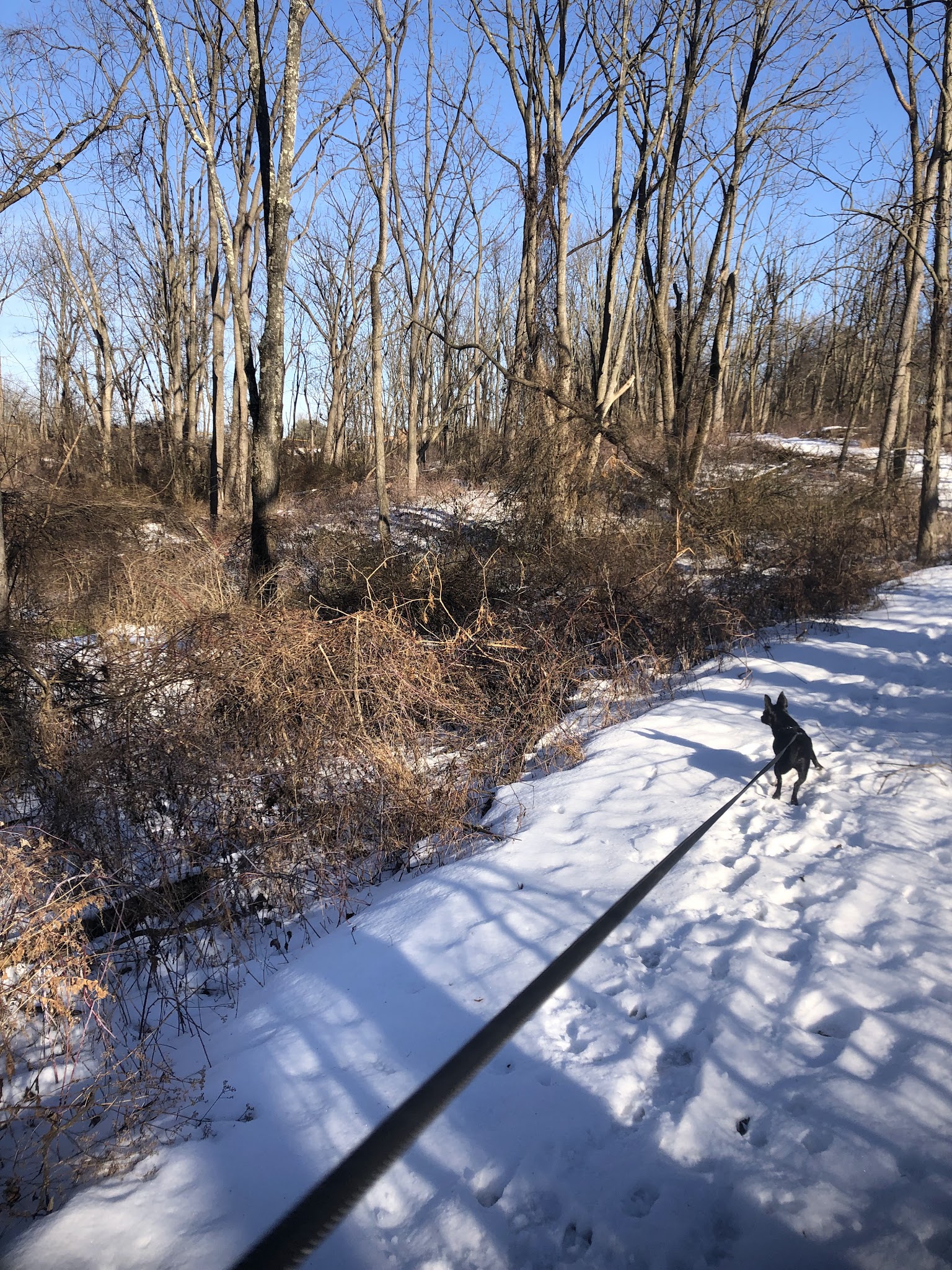 East Hanover Township Nature Park - Grantville, PA
