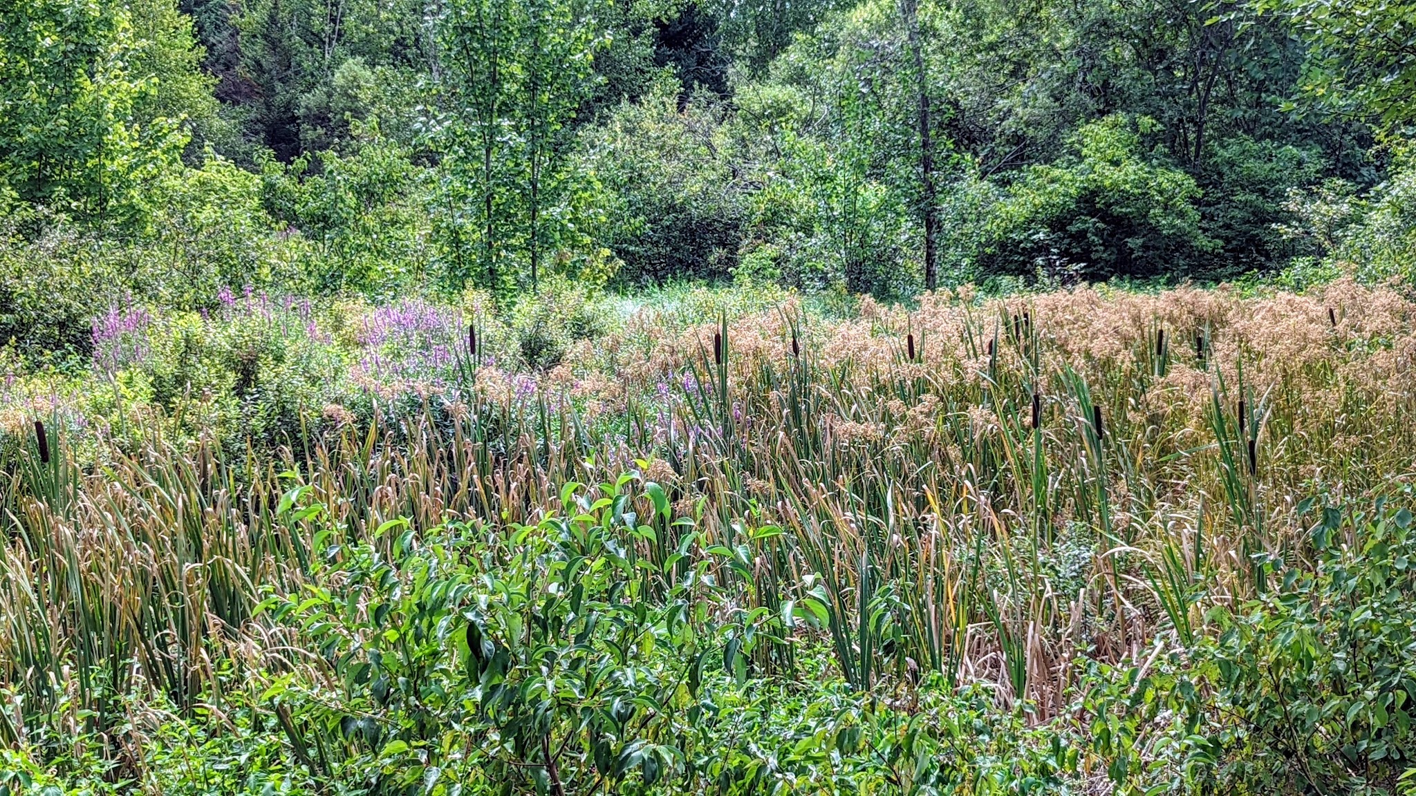 Granville Village Rails to Trails Parking - Granville, NY