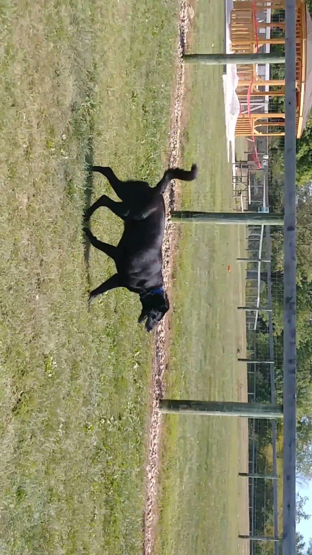 Licking Park District - Granville, OH