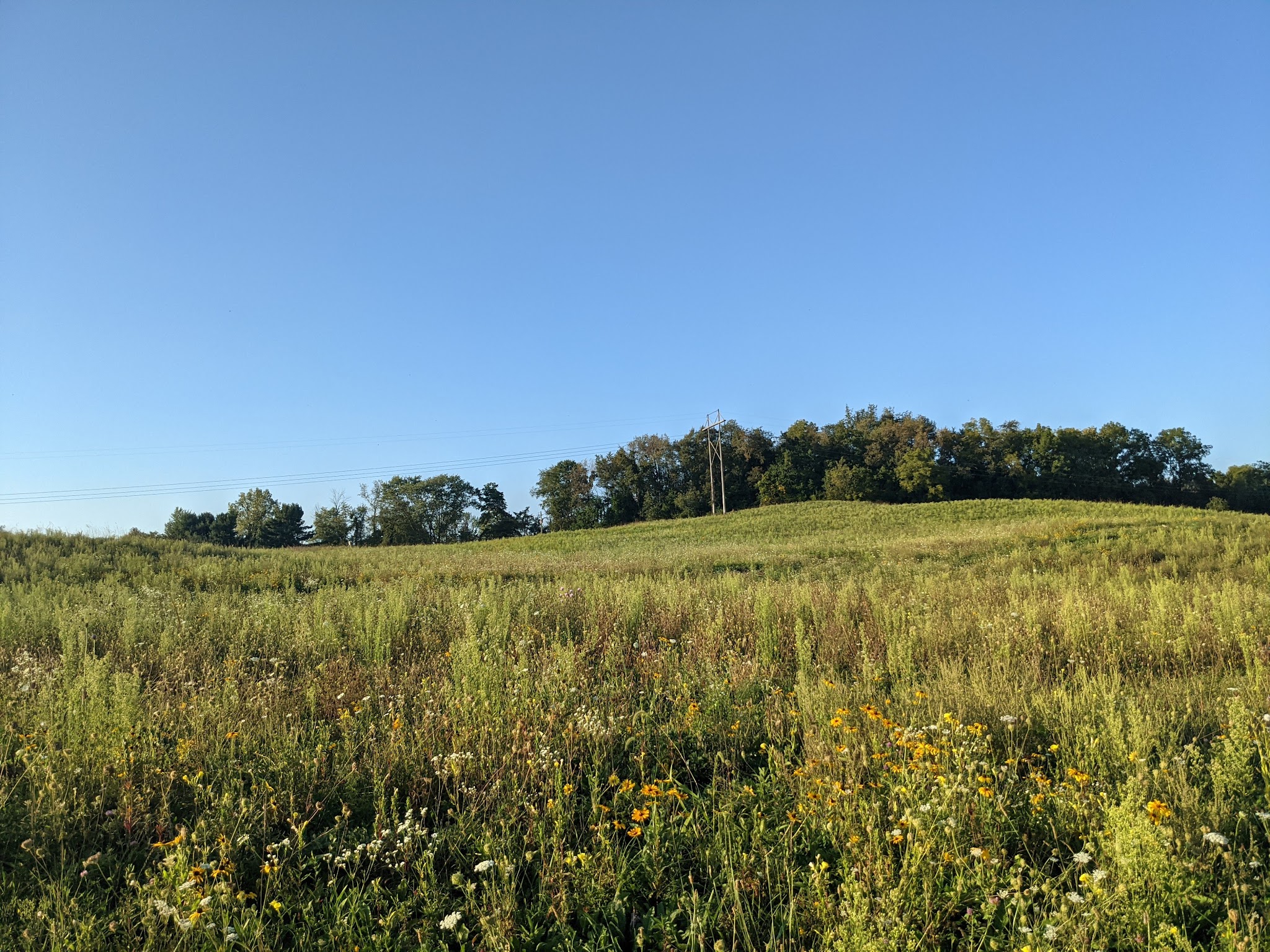 Licking Park District - Granville, OH