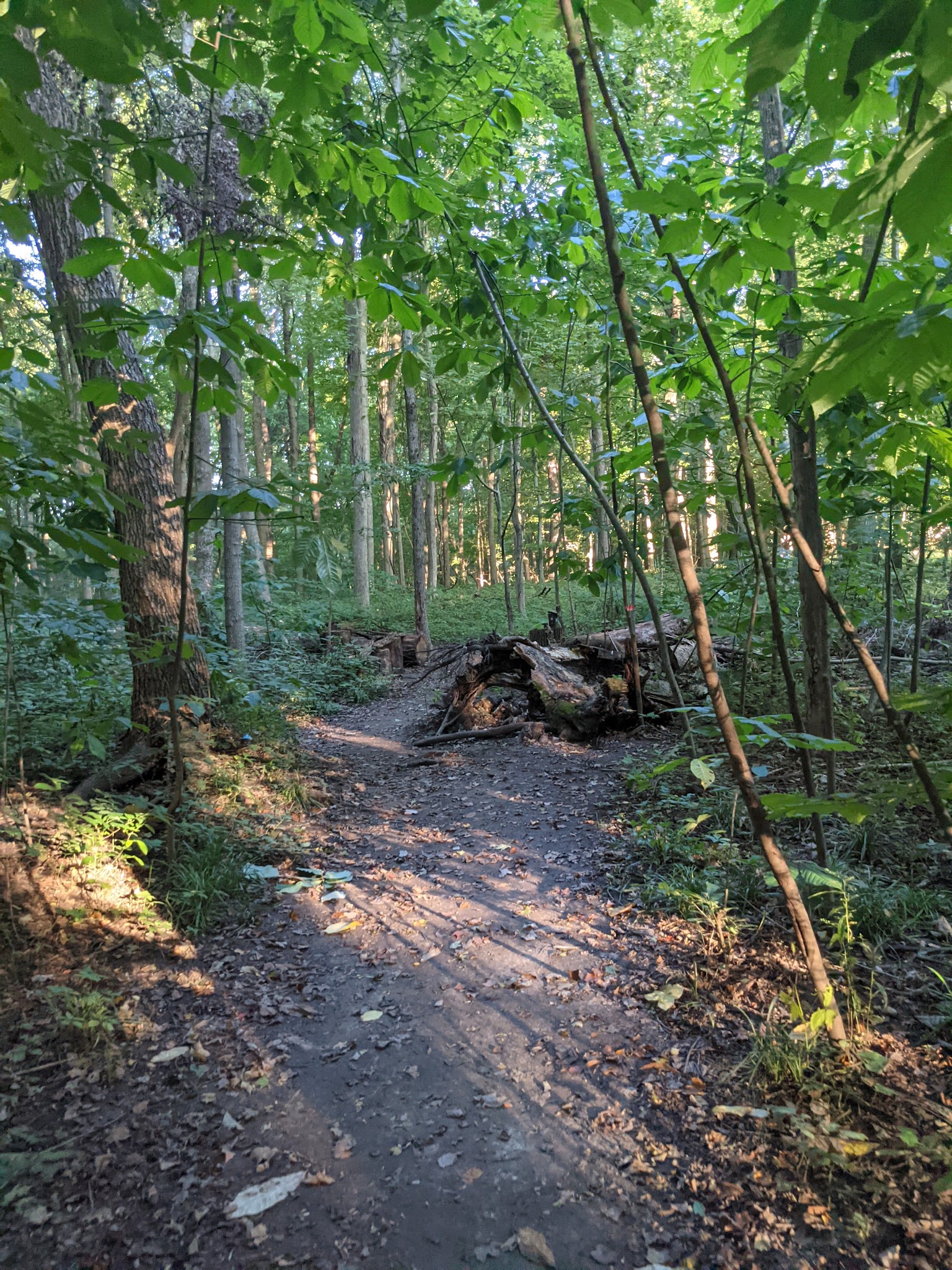 Licking Park District - Granville, OH