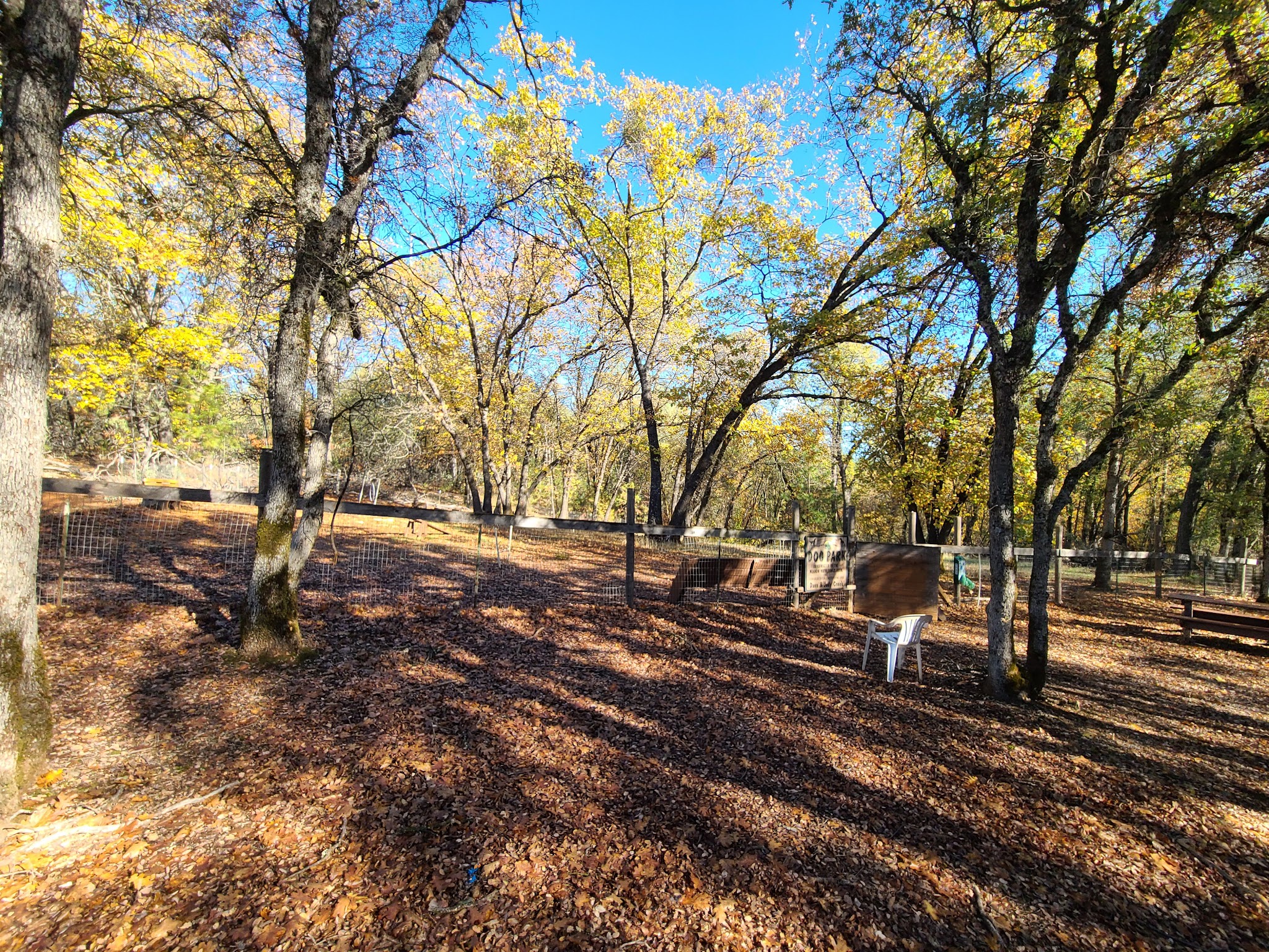 Dogs Run Free - Grass Valley, CA