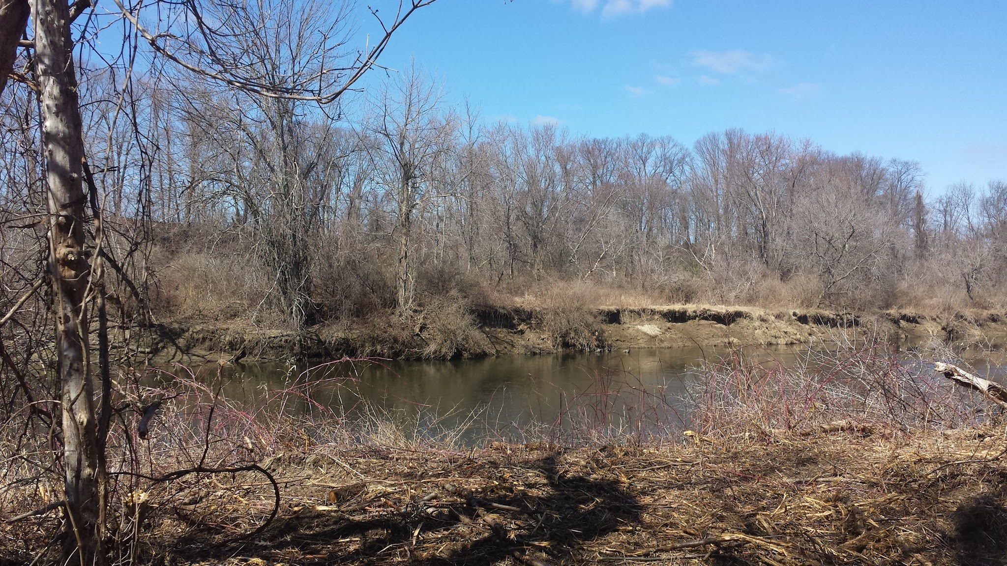 Housatonic Flats Reserve - Great Barrington, MA
