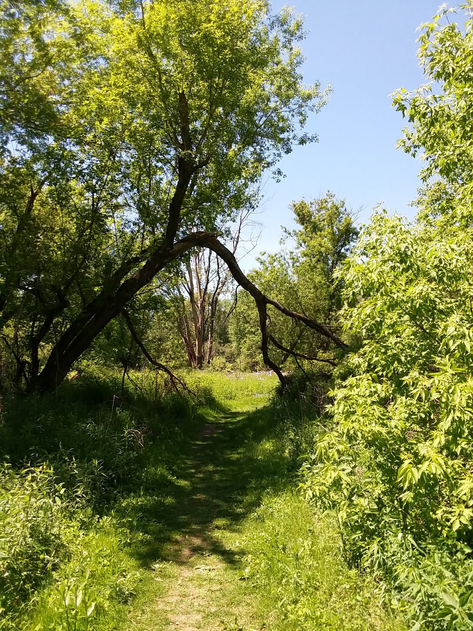 Housatonic Flats Reserve - Great Barrington, MA