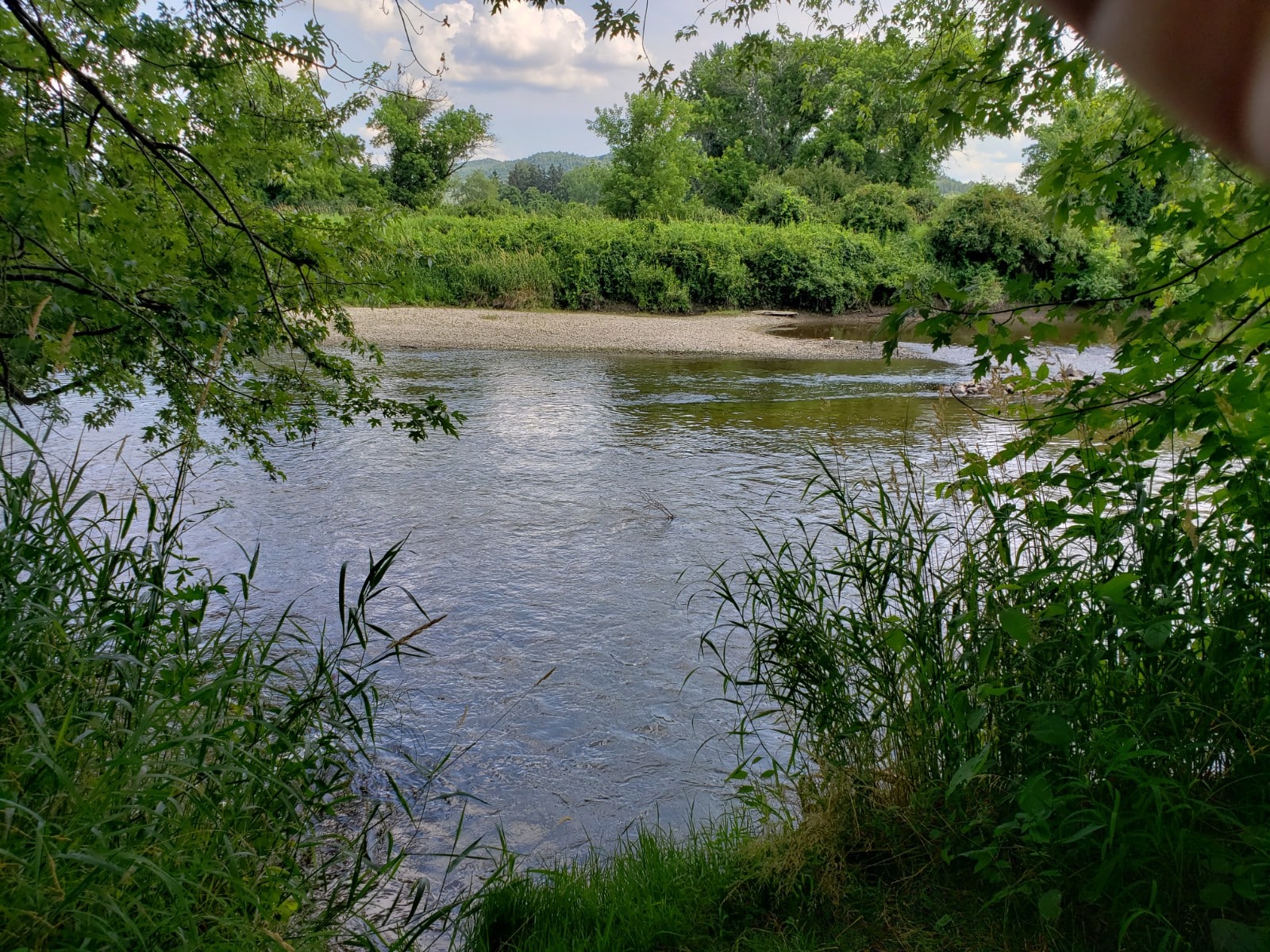 Housatonic Flats Reserve - Great Barrington, MA
