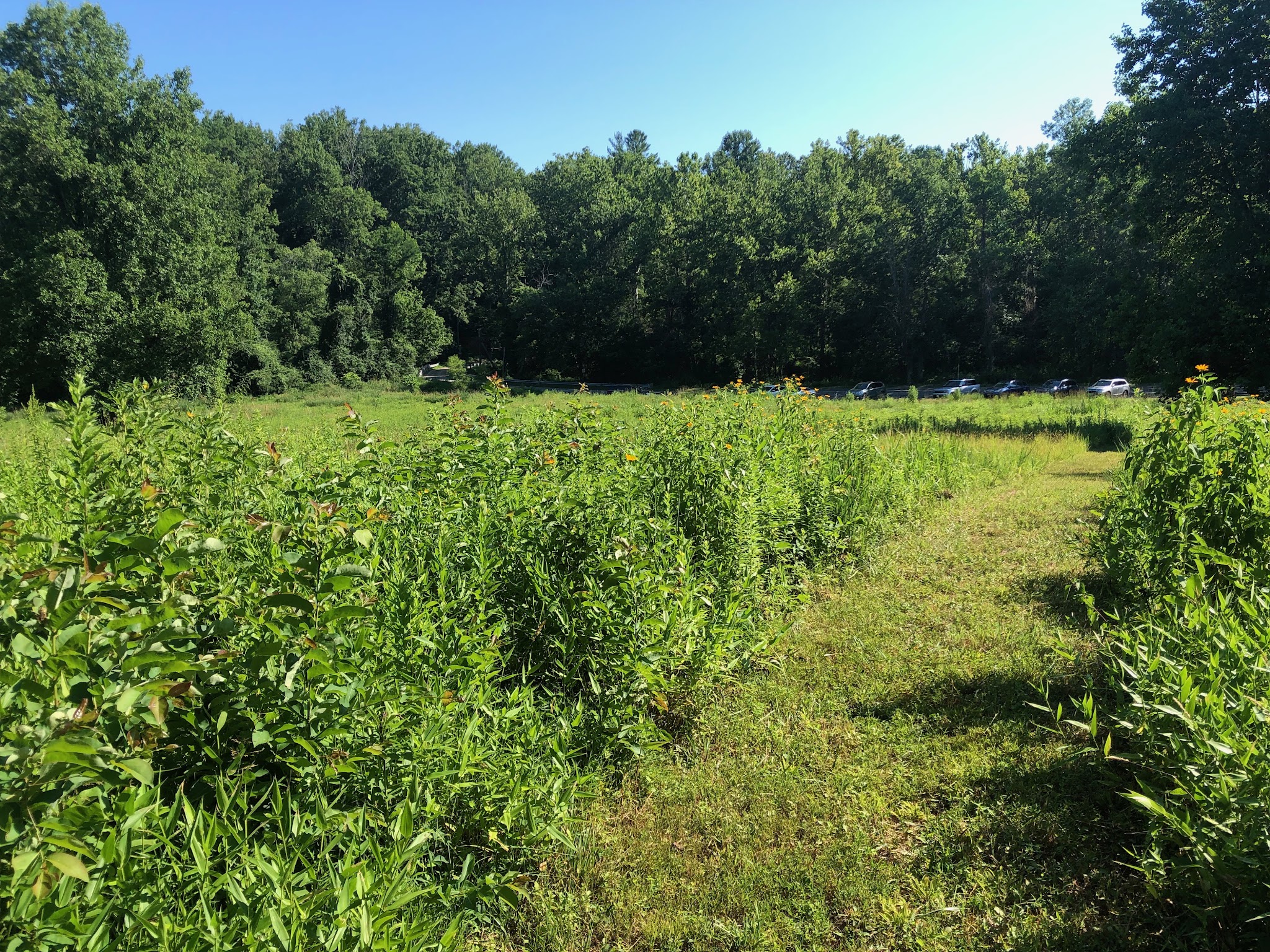 Mile 2.5 and Cross County Trail Access Point - Great Falls, VA