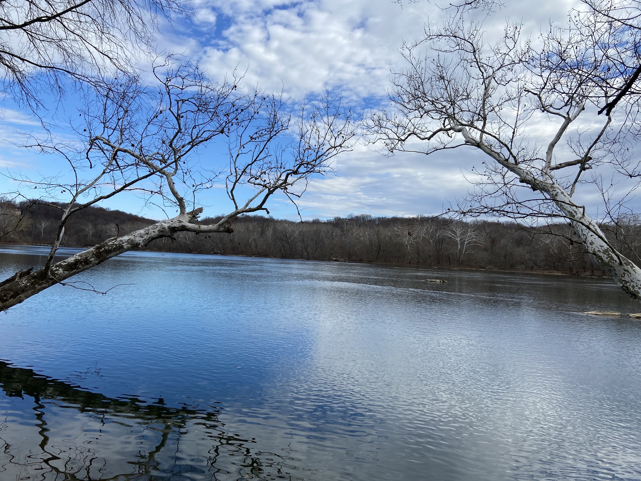 Great Falls VA - Great Falls, VA