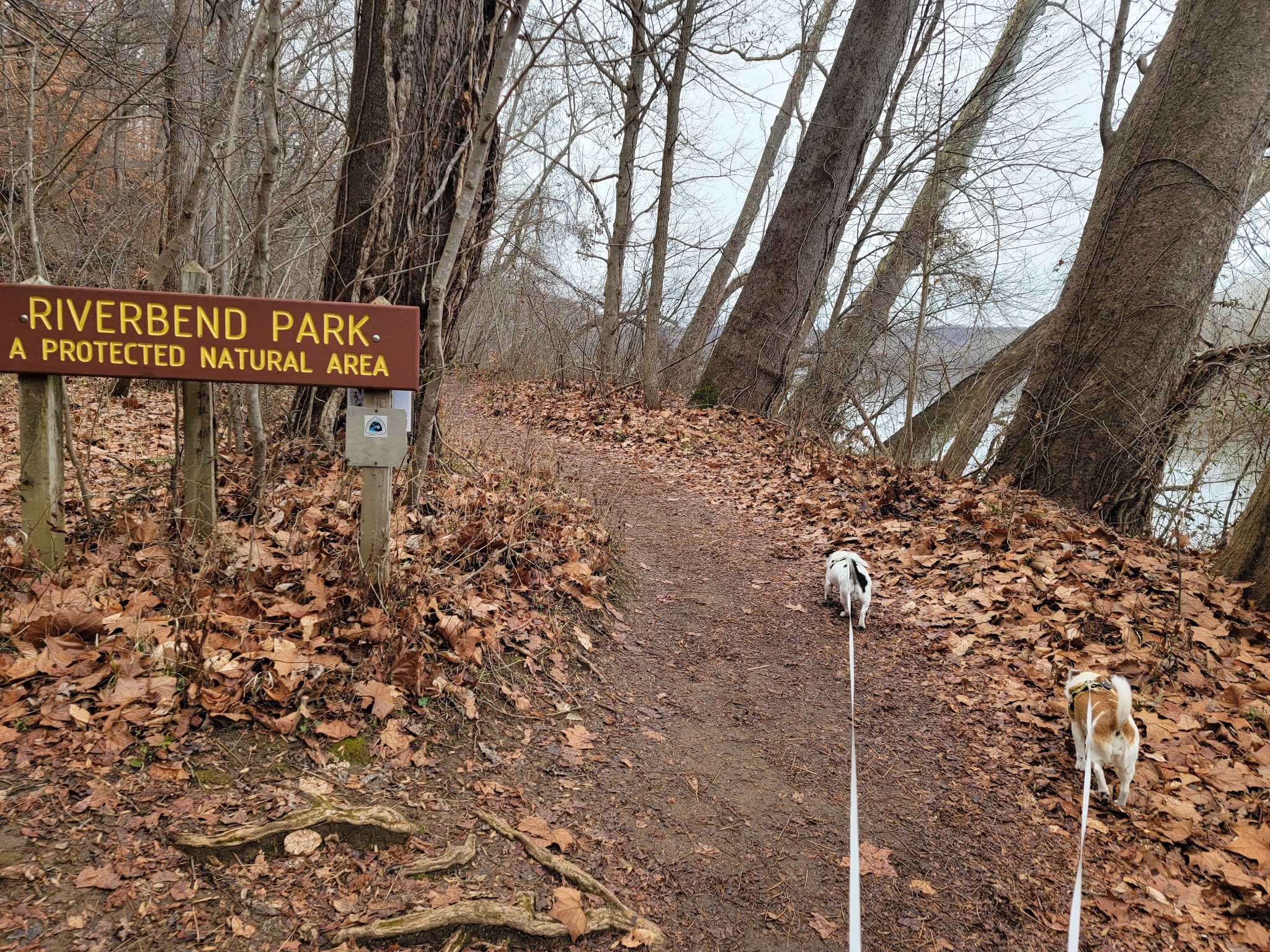 Great Falls VA - Great Falls, VA