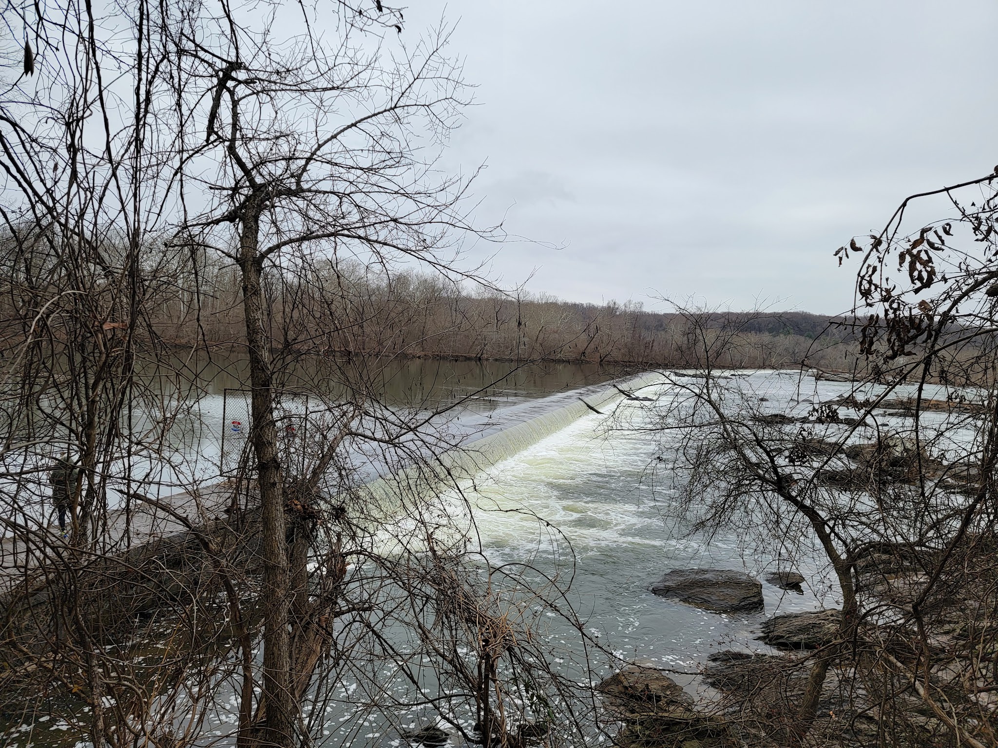 Great Falls VA - Great Falls, VA