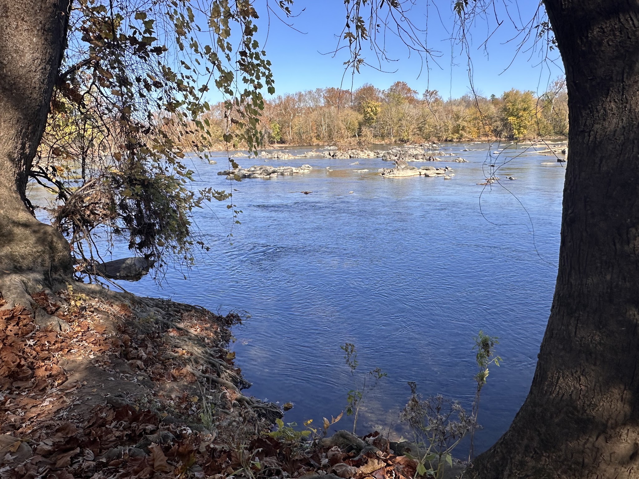 Riverbend Park - Great Falls, VA
