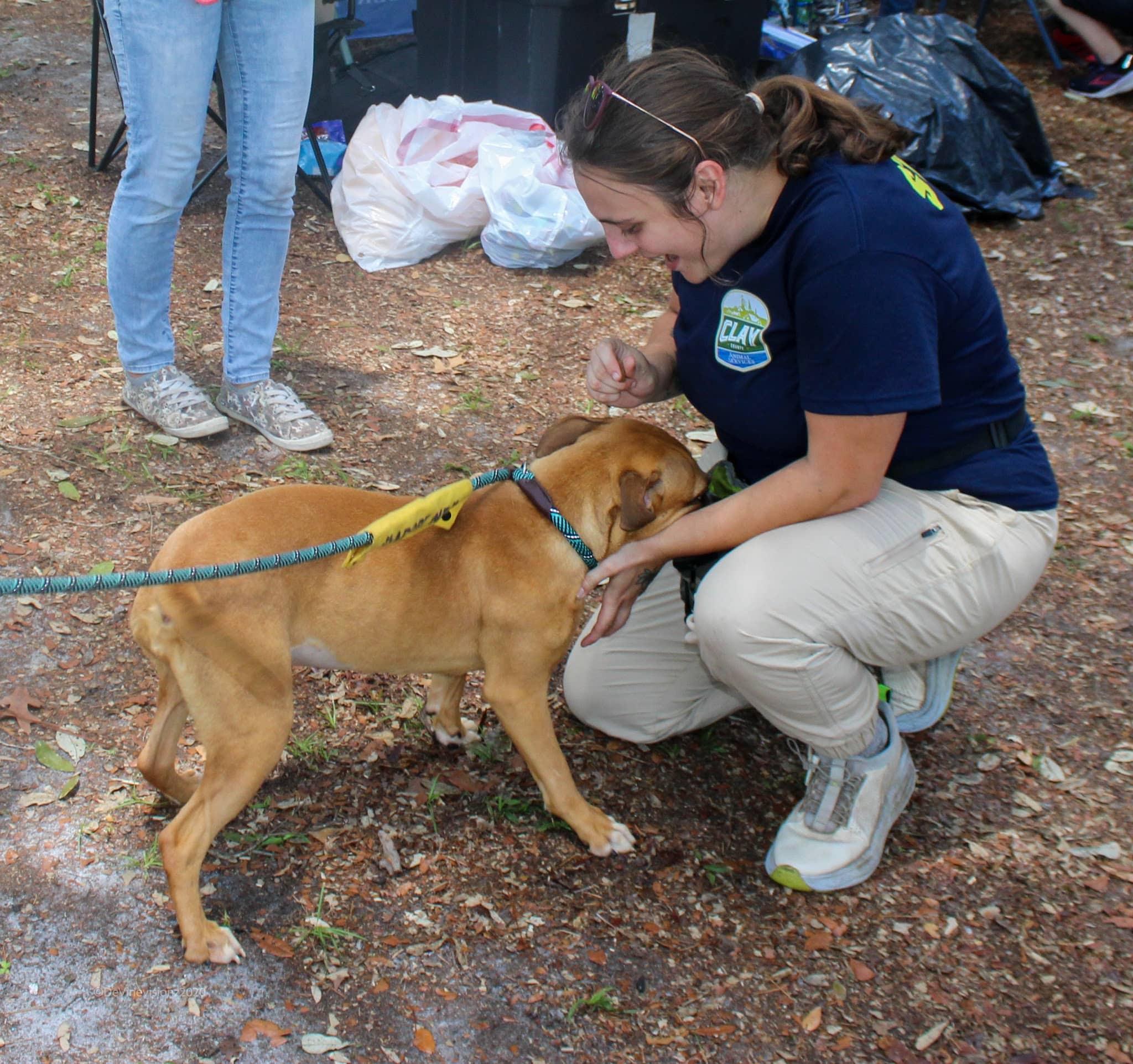 Clay County Animal Services - Green Cove Springs, FL