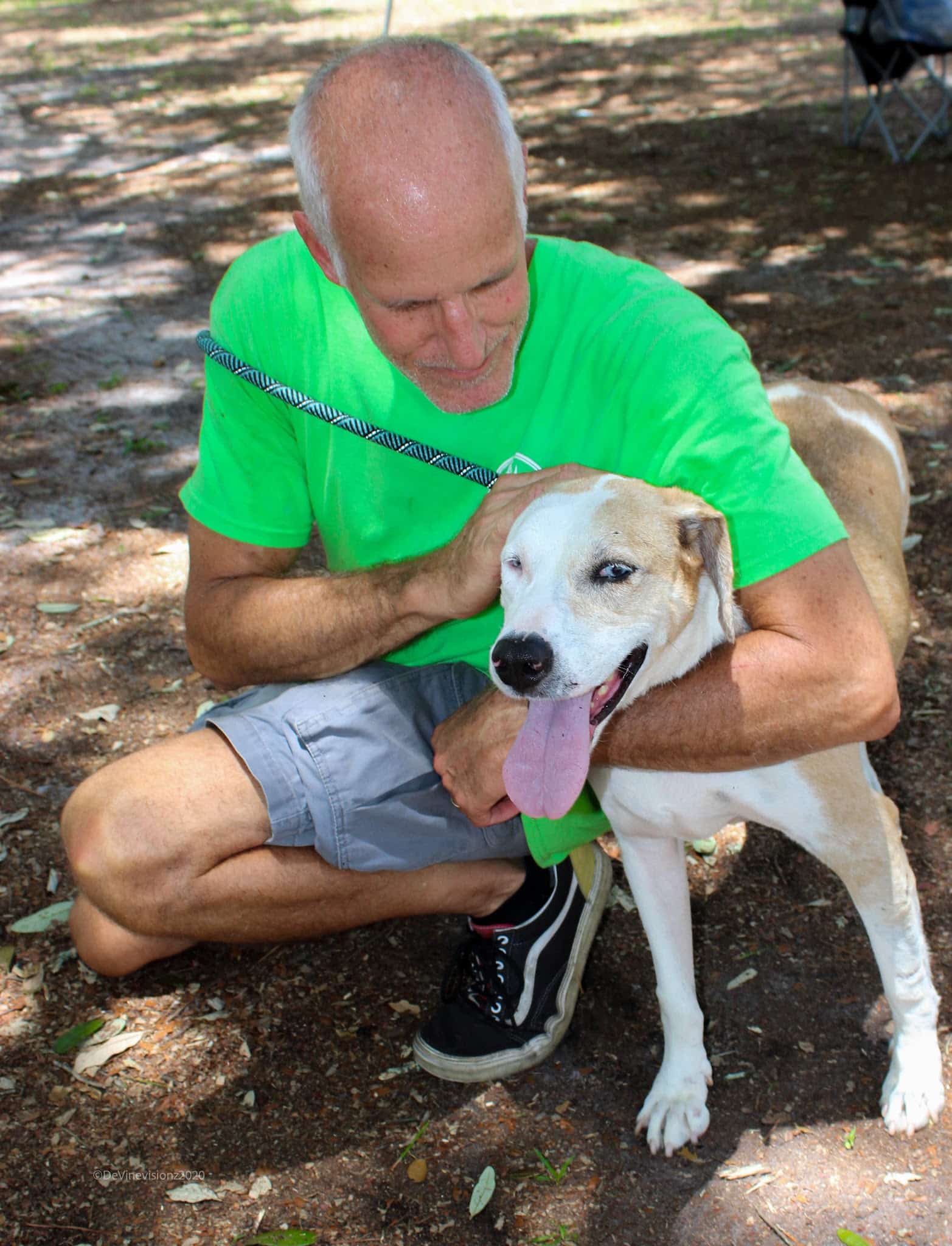 Clay County Animal Services - Green Cove Springs, FL