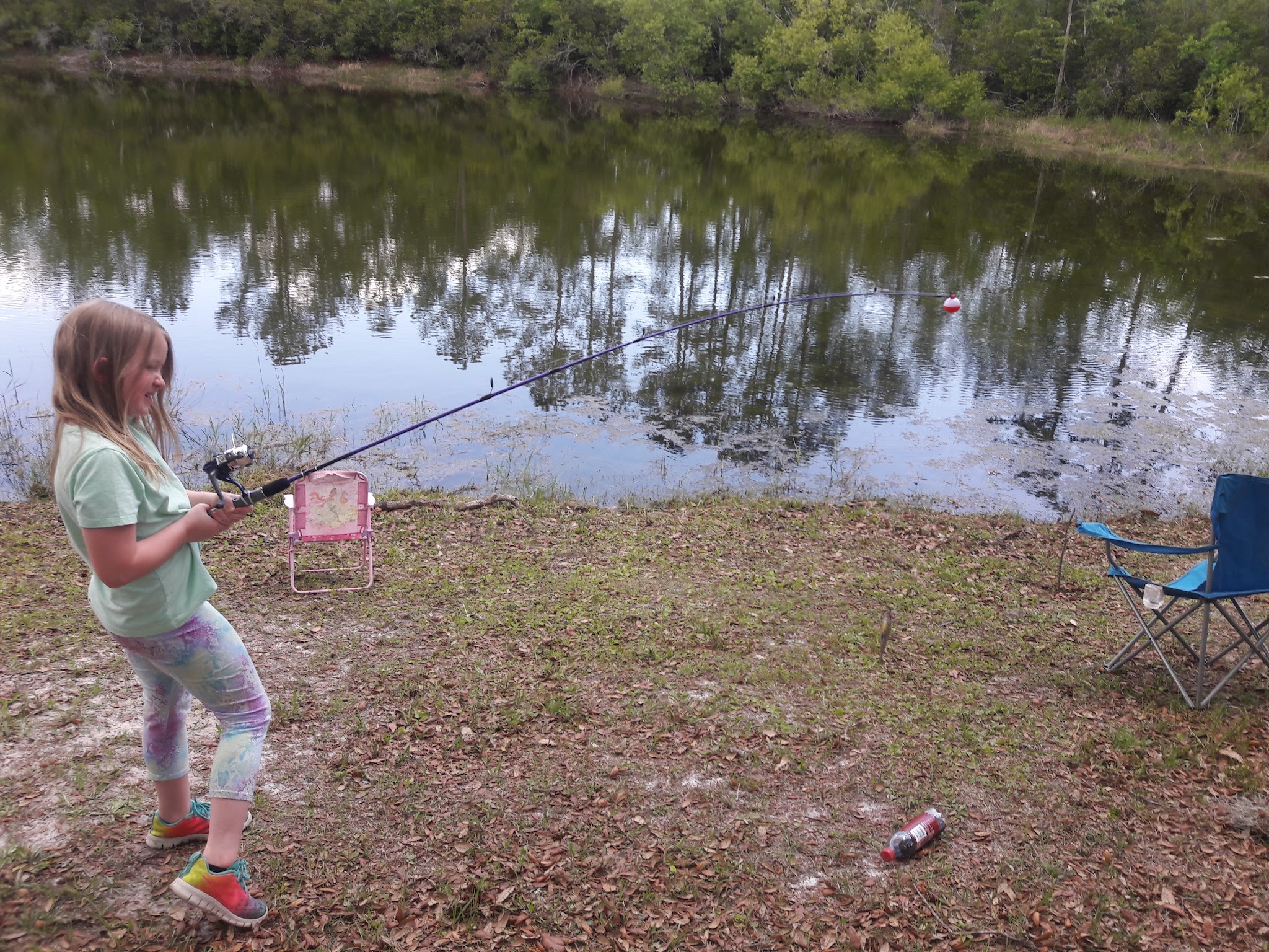 Magnolia Park - Green Cove Springs, FL