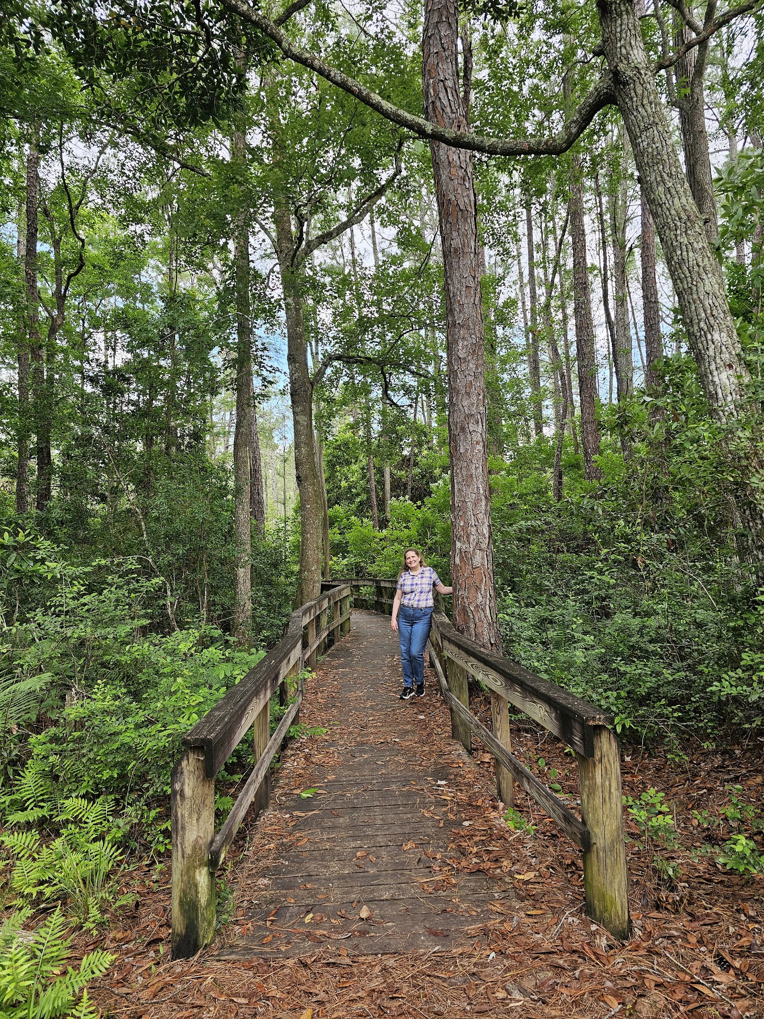 Ronnie Van Zant Memorial Park - Green Cove Springs, FL