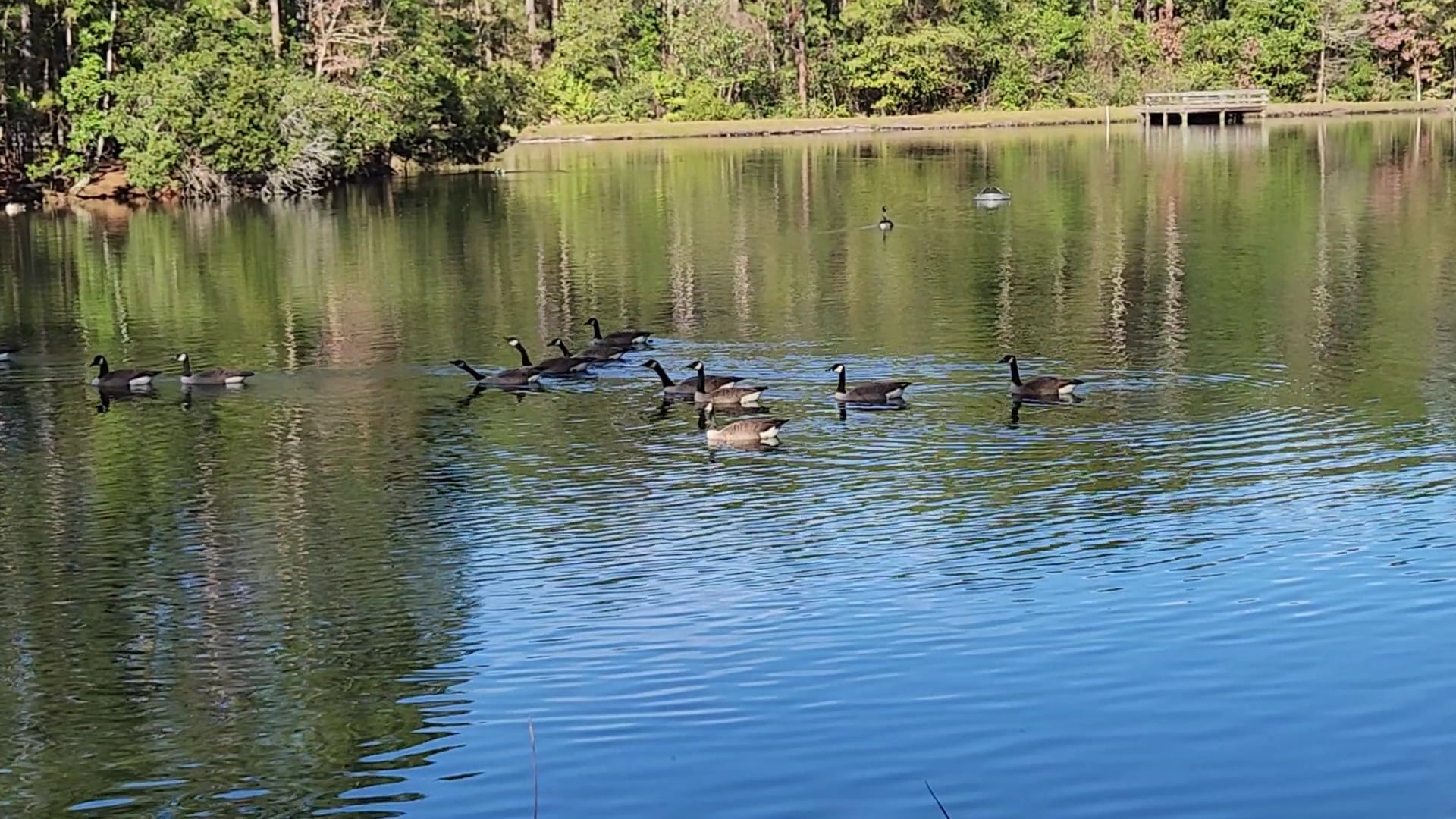 Ronnie Van Zant Memorial Park - Green Cove Springs, FL