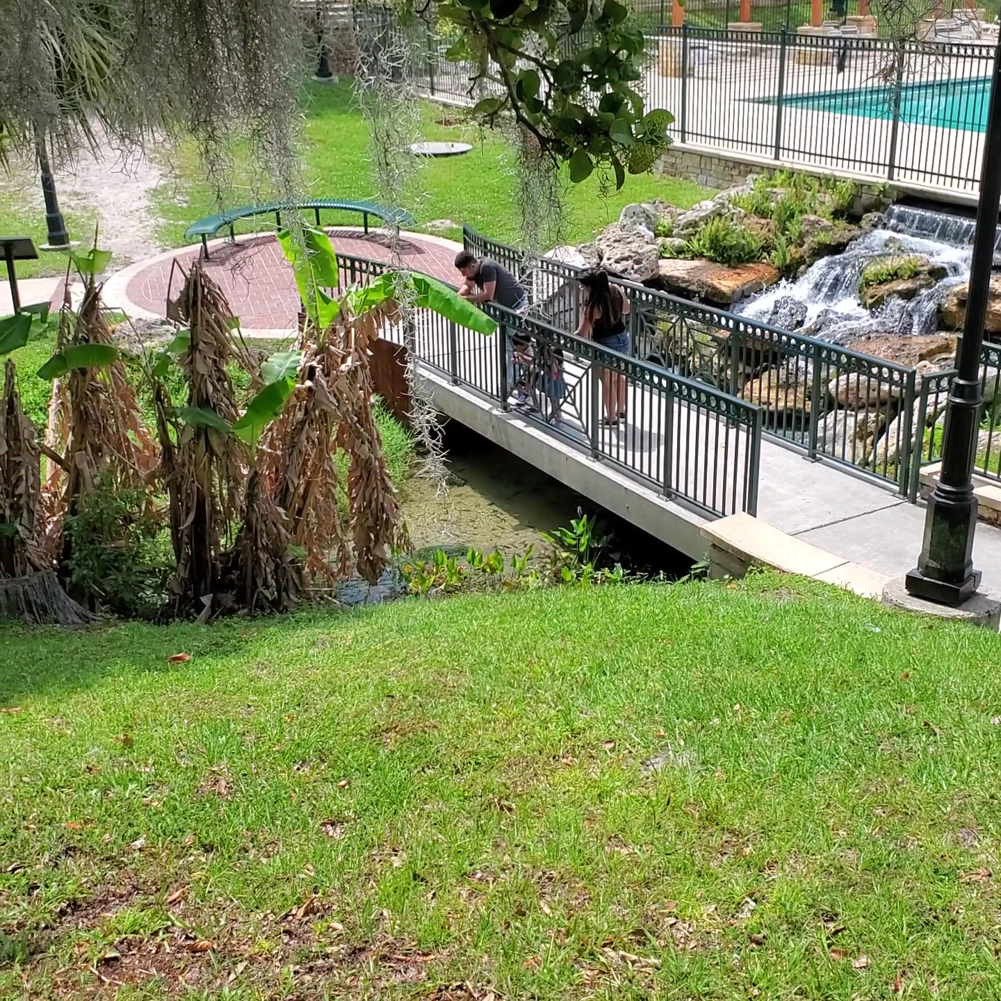 Spring Park - Green Cove Springs, FL