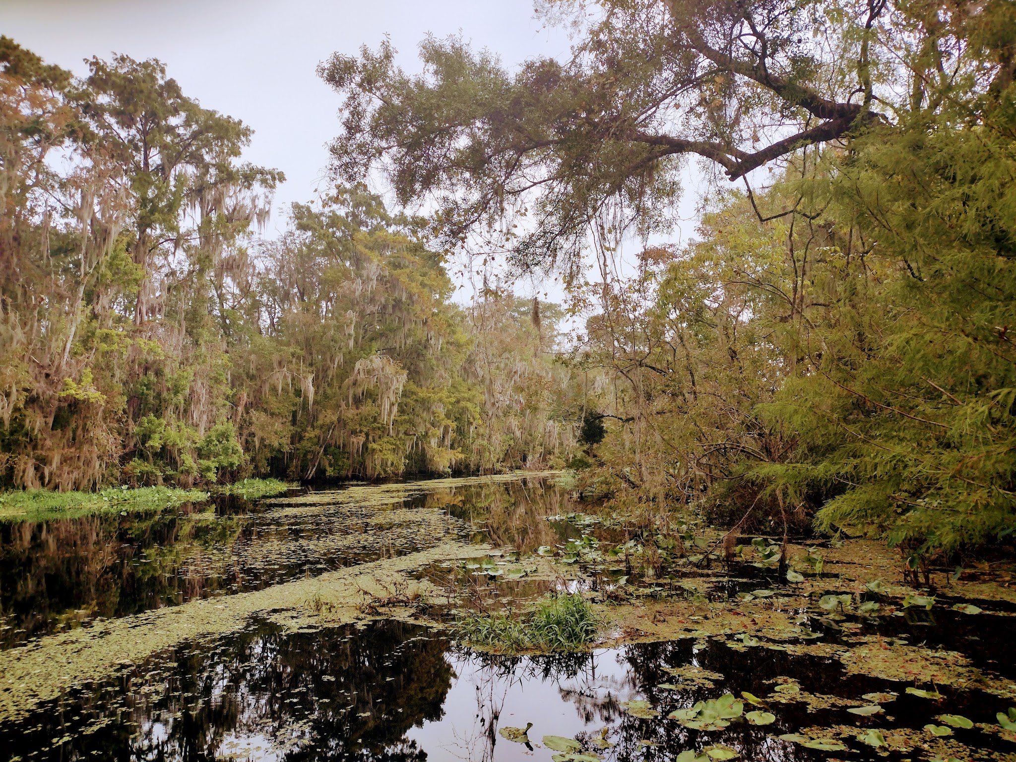 Vera Francis Hall Park - Green Cove Springs, FL
