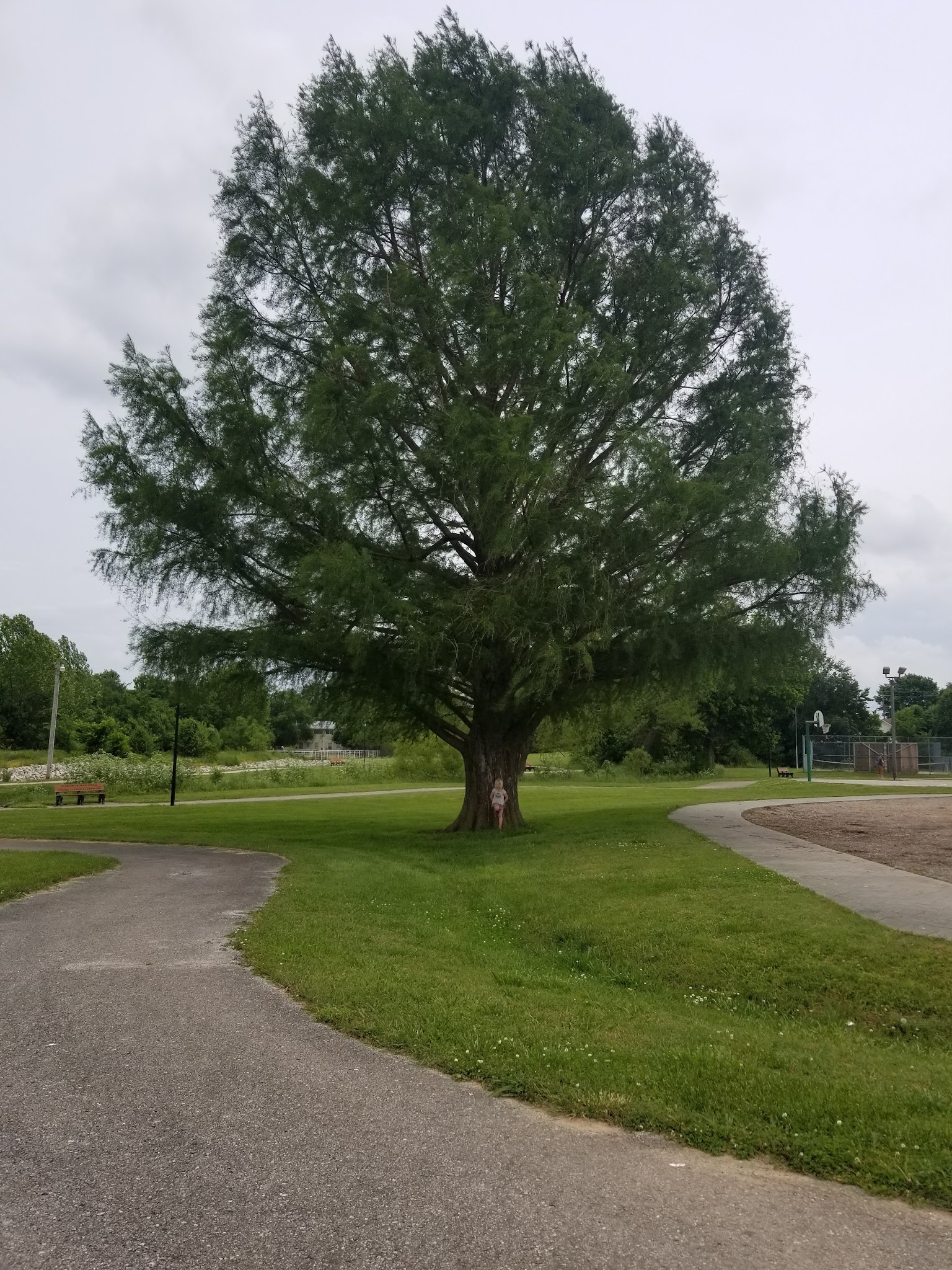 Green Forest City Park - Green Forest, AR