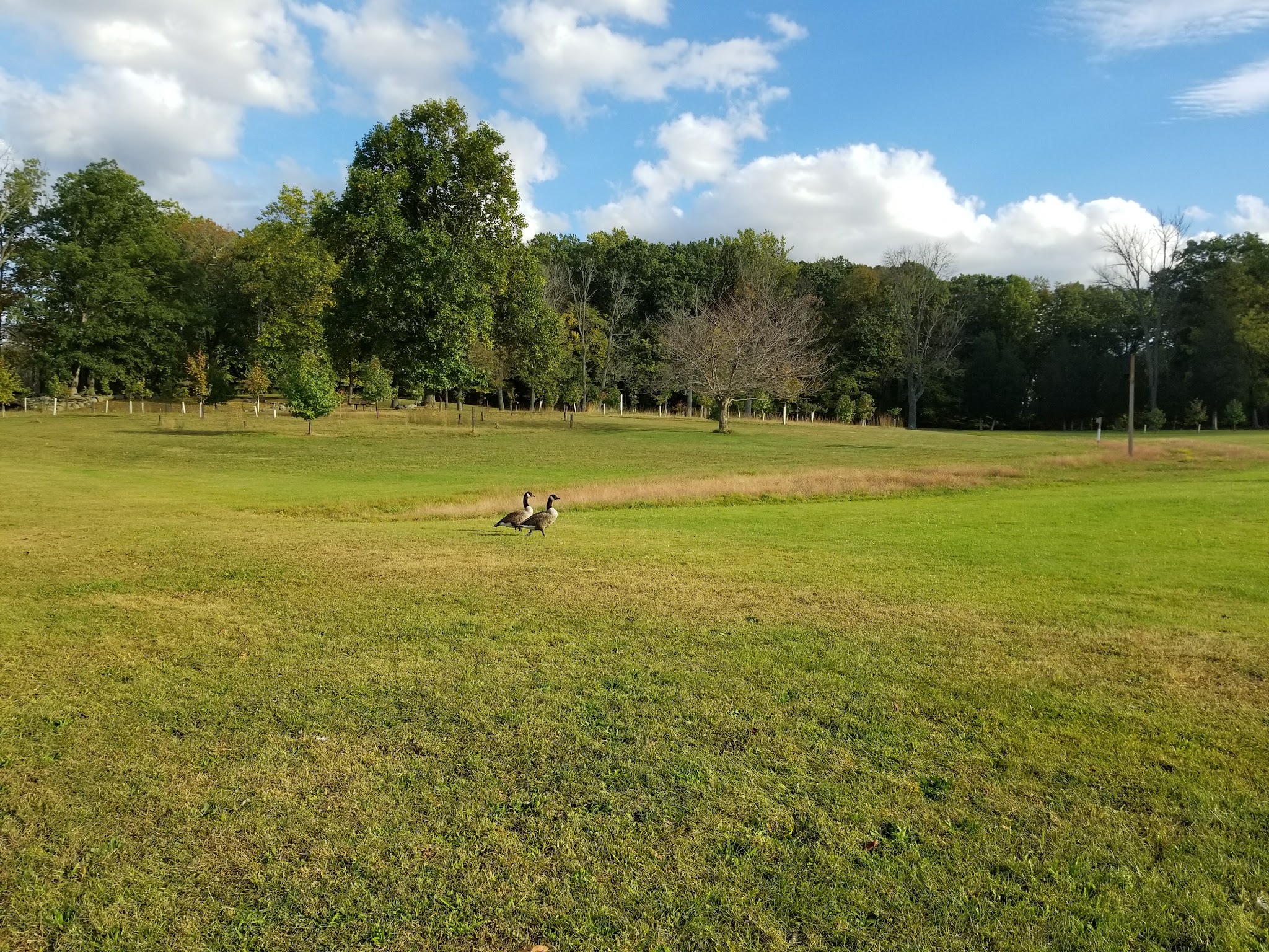 Green Lane Park - Green Lane, PA