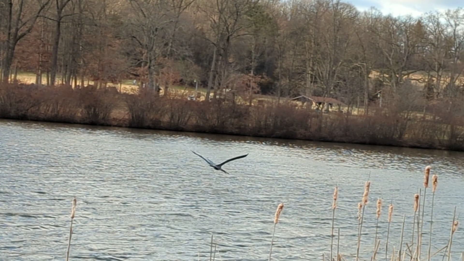 Green Lane Park - Green Lane, PA