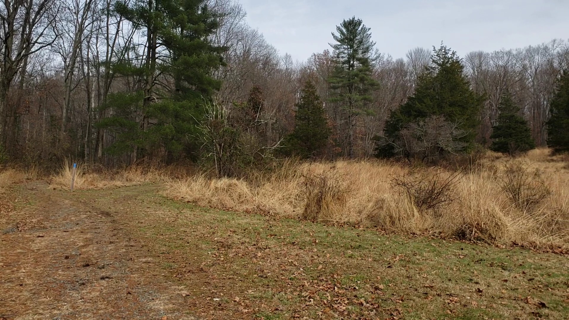 TH blue trail access Green Lane - Green Lane, PA