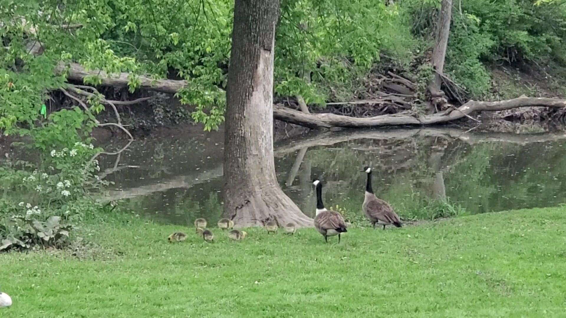 Unami Creek Park - Green Lane, PA