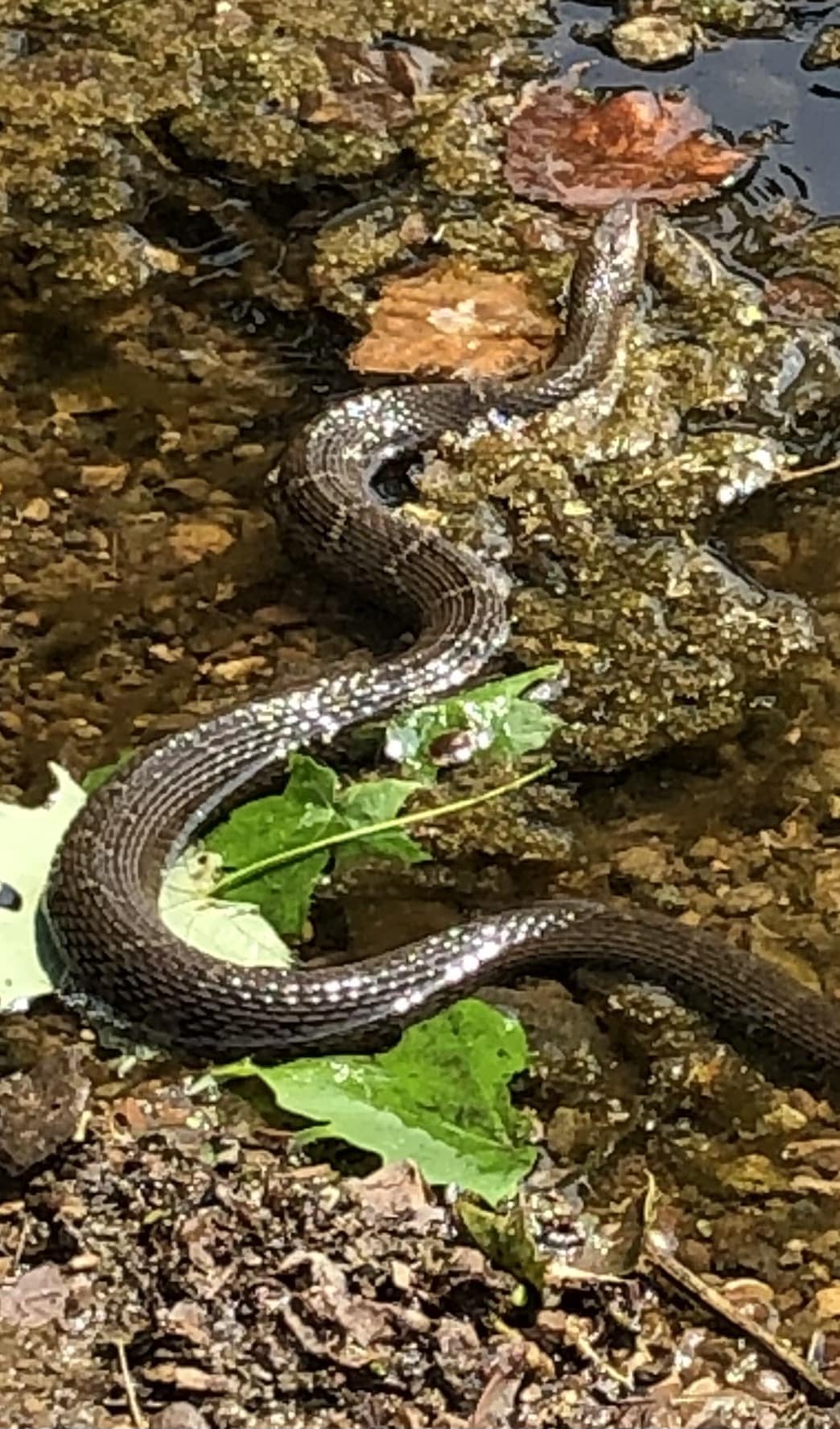 Unami Creek Park - Green Lane, PA