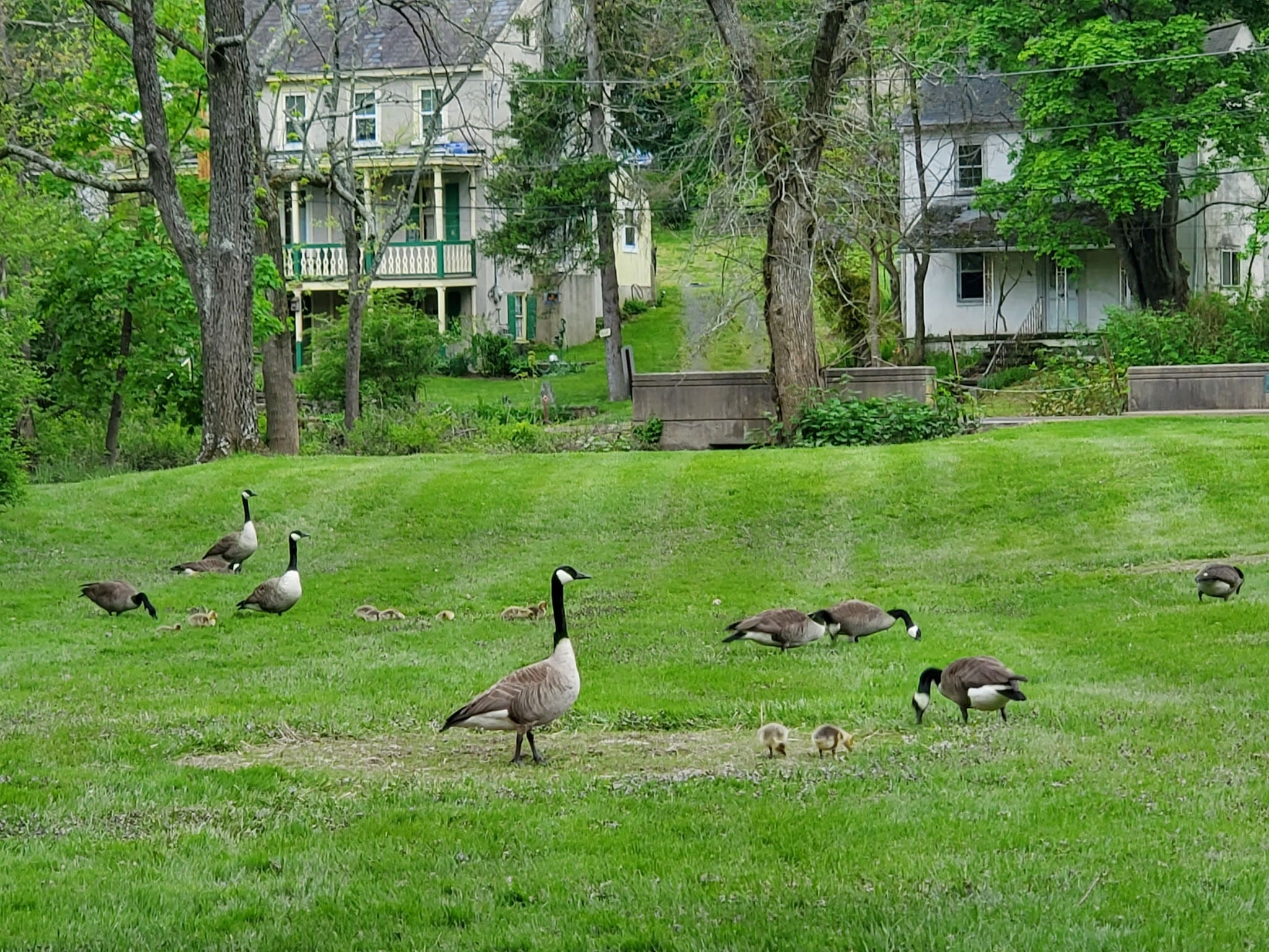 Unami Creek Park - Green Lane, PA